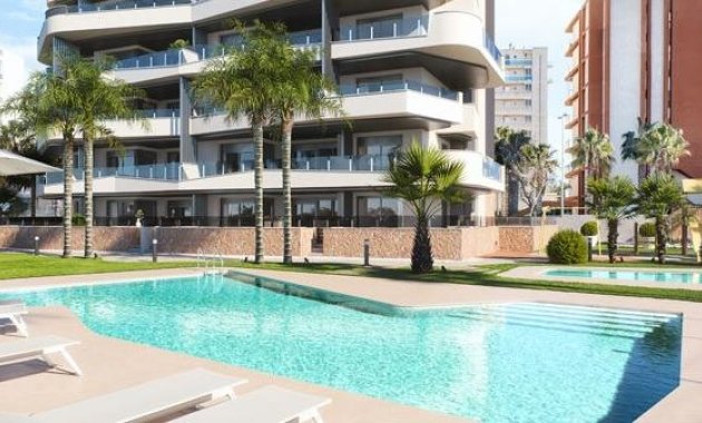 Apartamento/ piso - Obra nueva - Guardamar del Segura -
                Puerto