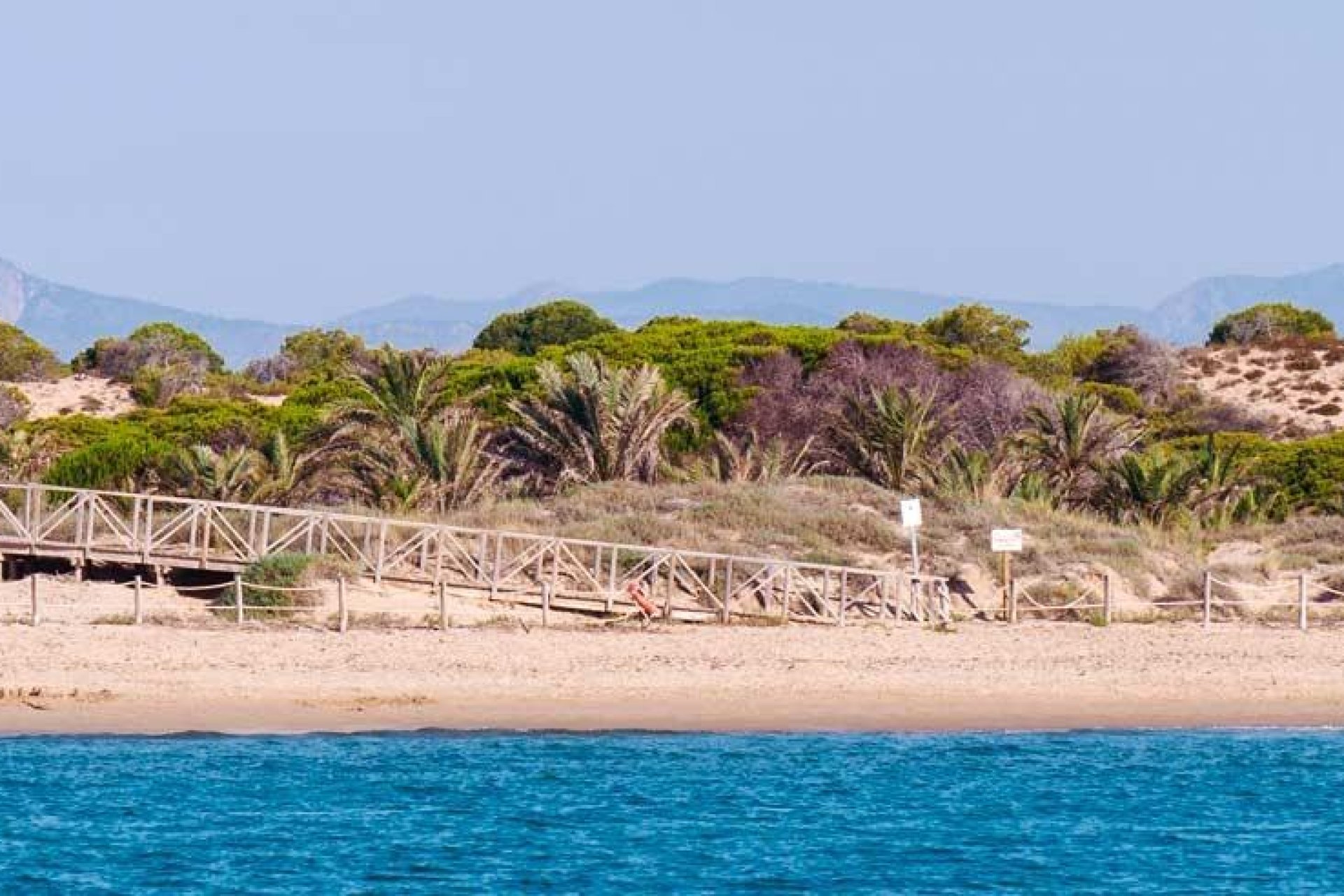 New Build - Ground floor apartment -
Guardamar del Segura - Pueblo