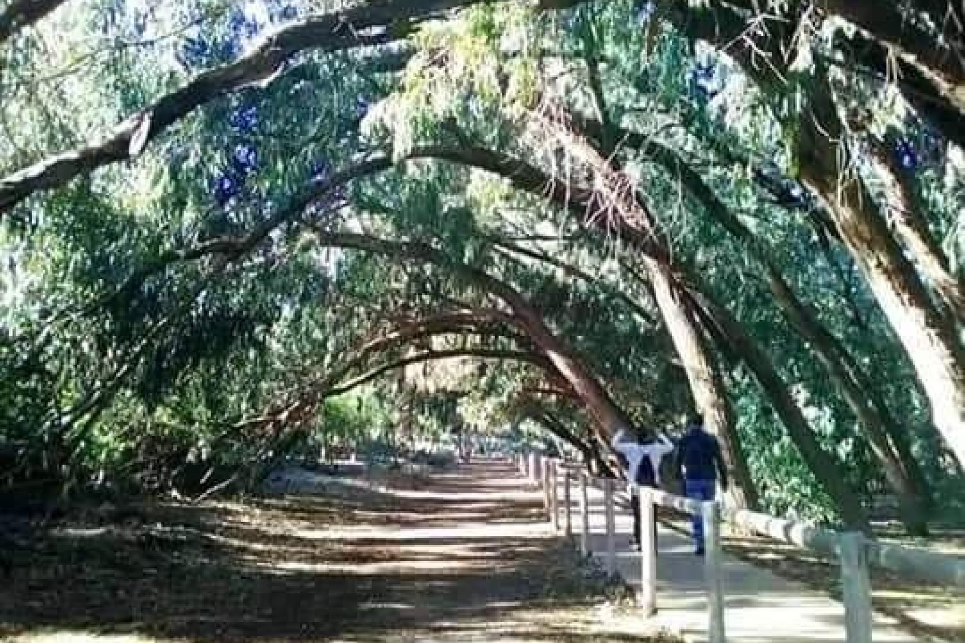 New Build -  -
Torrevieja - Altos del Sol