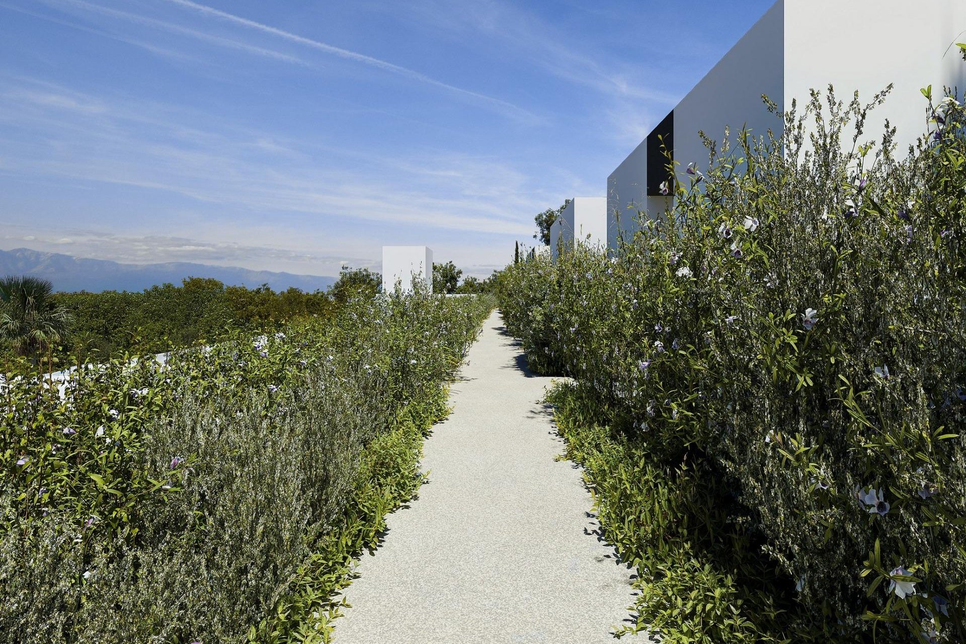 Nýbygging - Einbýlishús -
Alfas del Pí - Barranc Fondo