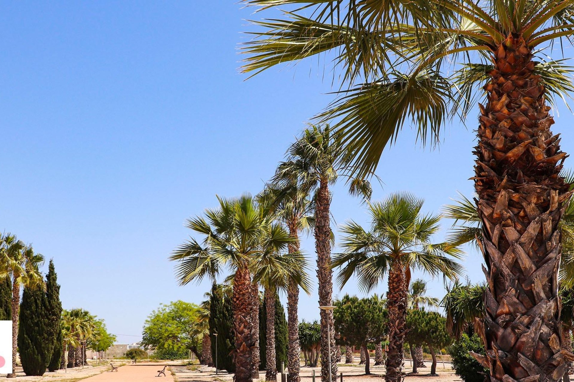 Nýbygging - Einbýlishús -
San Fulgencio - La Escuera