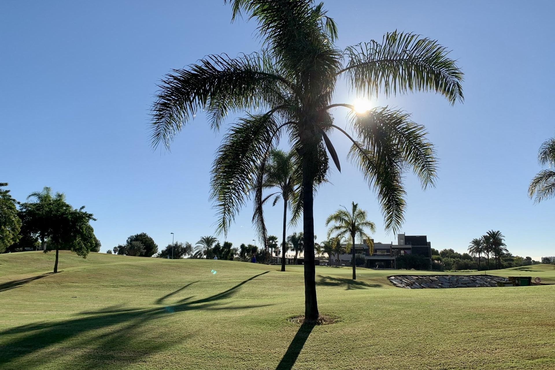 Nýbygging - Einbýlishús -
San Javier - Roda Golf