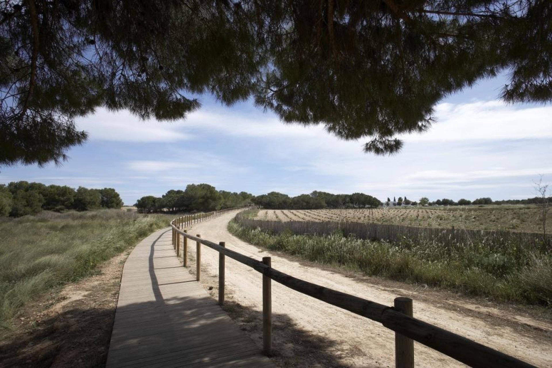 Nýbygging - Einbýlishús -
Torrevieja - Altos del Sol