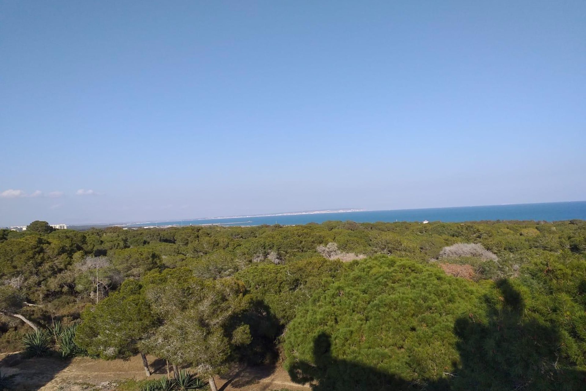 Nýbygging - Íbúð á jarðhæð -
Guardamar del Segura - Pueblo