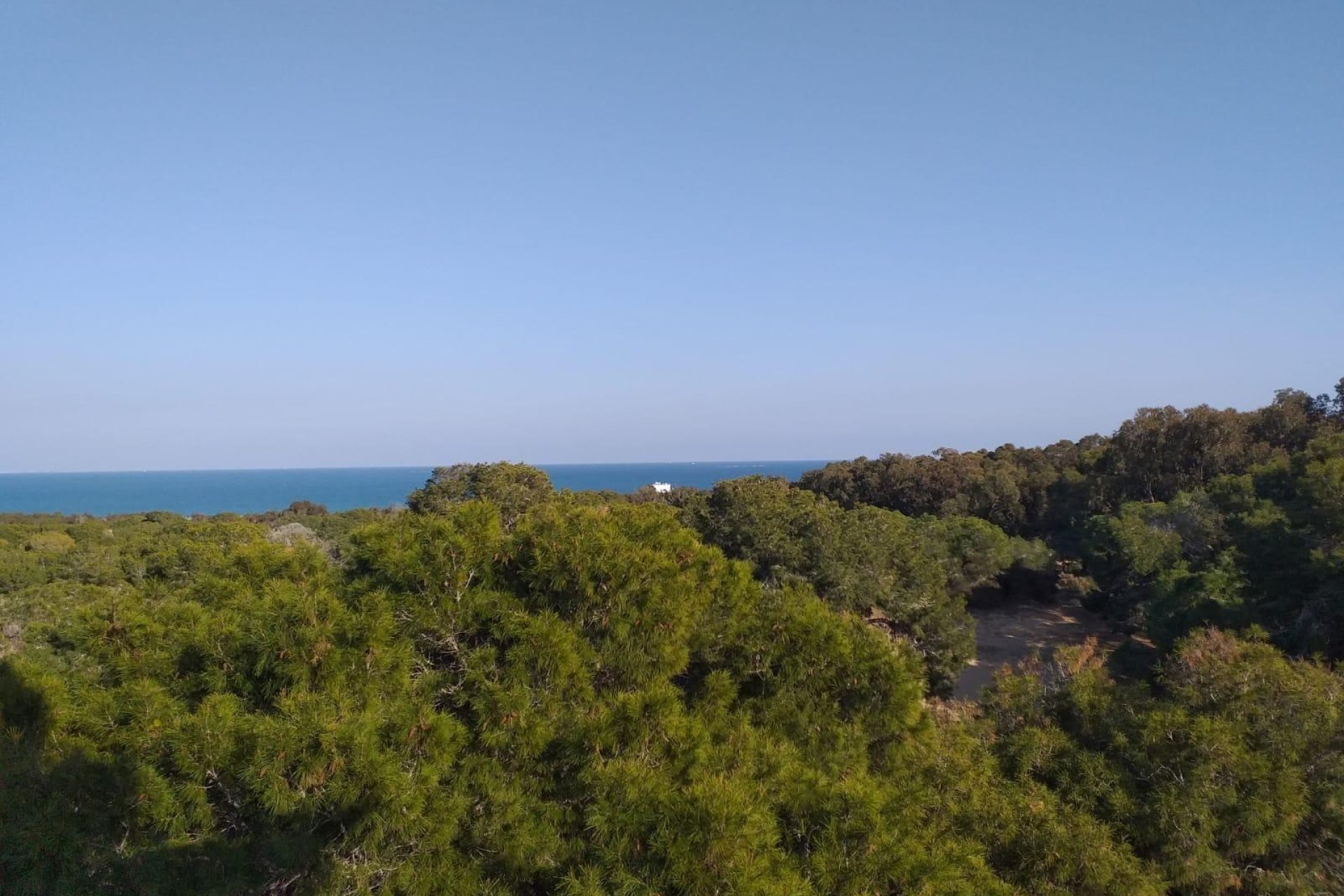 Nýbygging - Íbúð á jarðhæð -
Guardamar del Segura - Pueblo