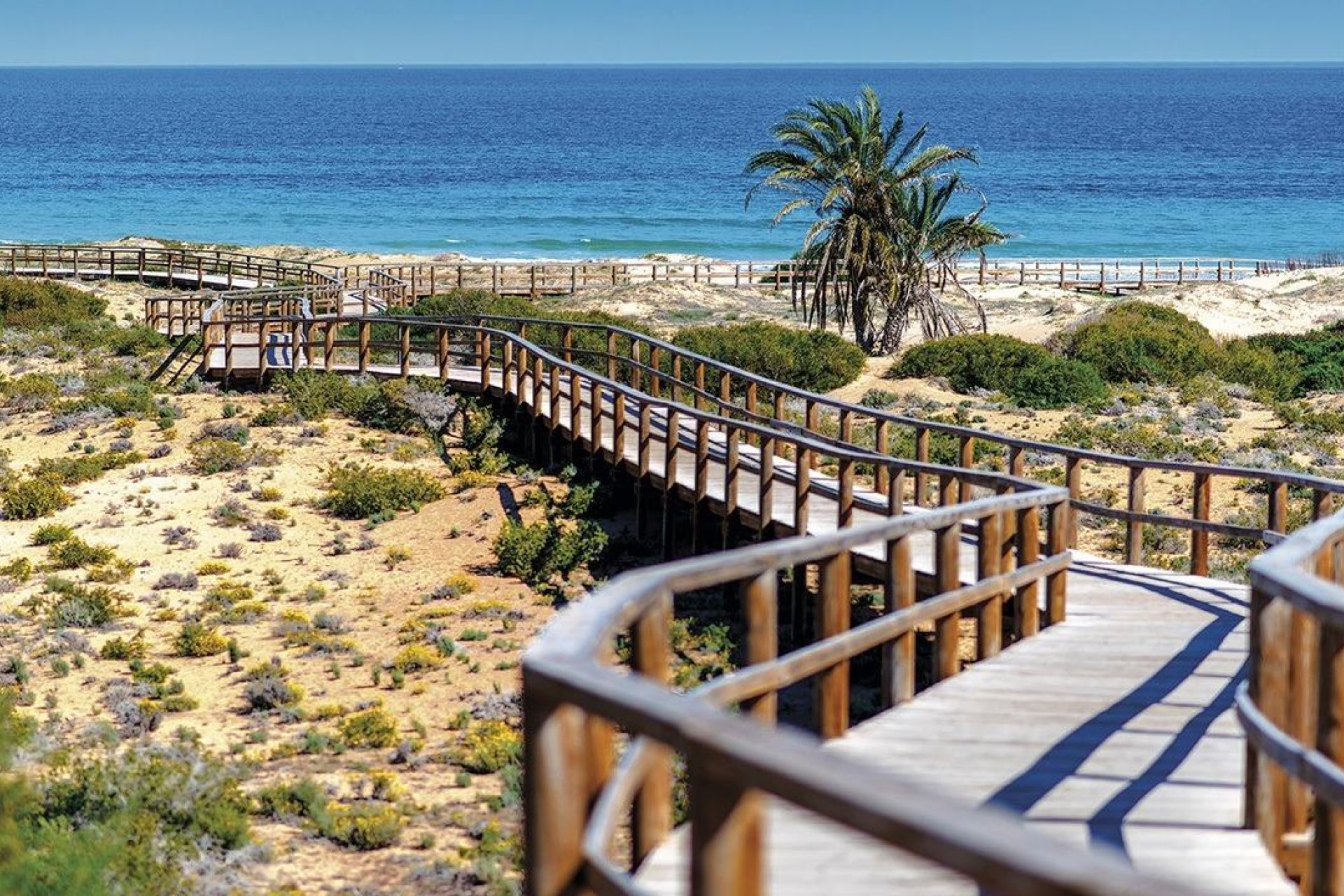 Nýbygging - Íbúð á jarðhæð -
Monforte del Cid - Alenda Golf