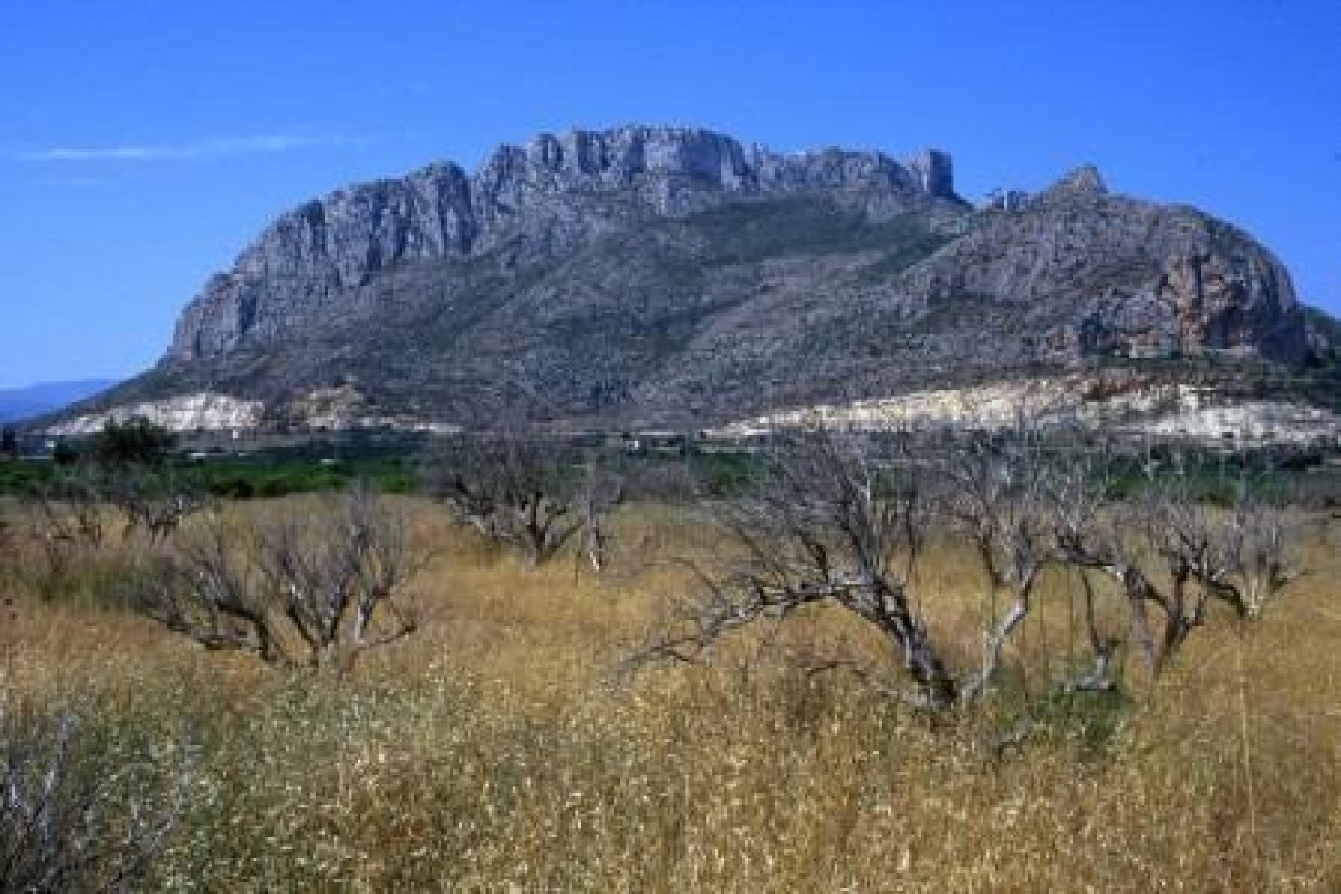 Nýbygging - Íbúð / íbúð -
Denia - El Verger