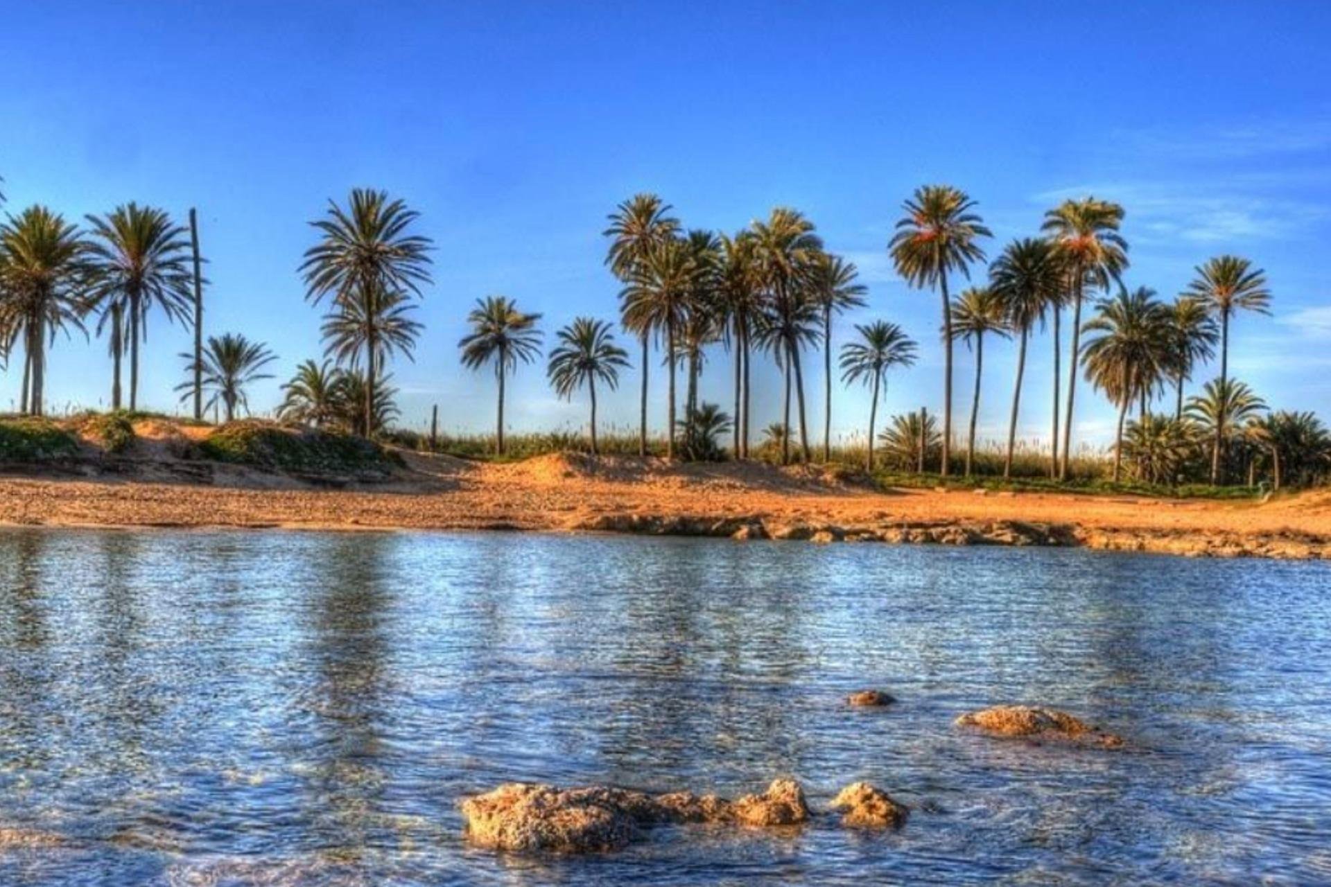 Nýbygging - Íbúð / íbúð -
Torrevieja - Playa de El Cura