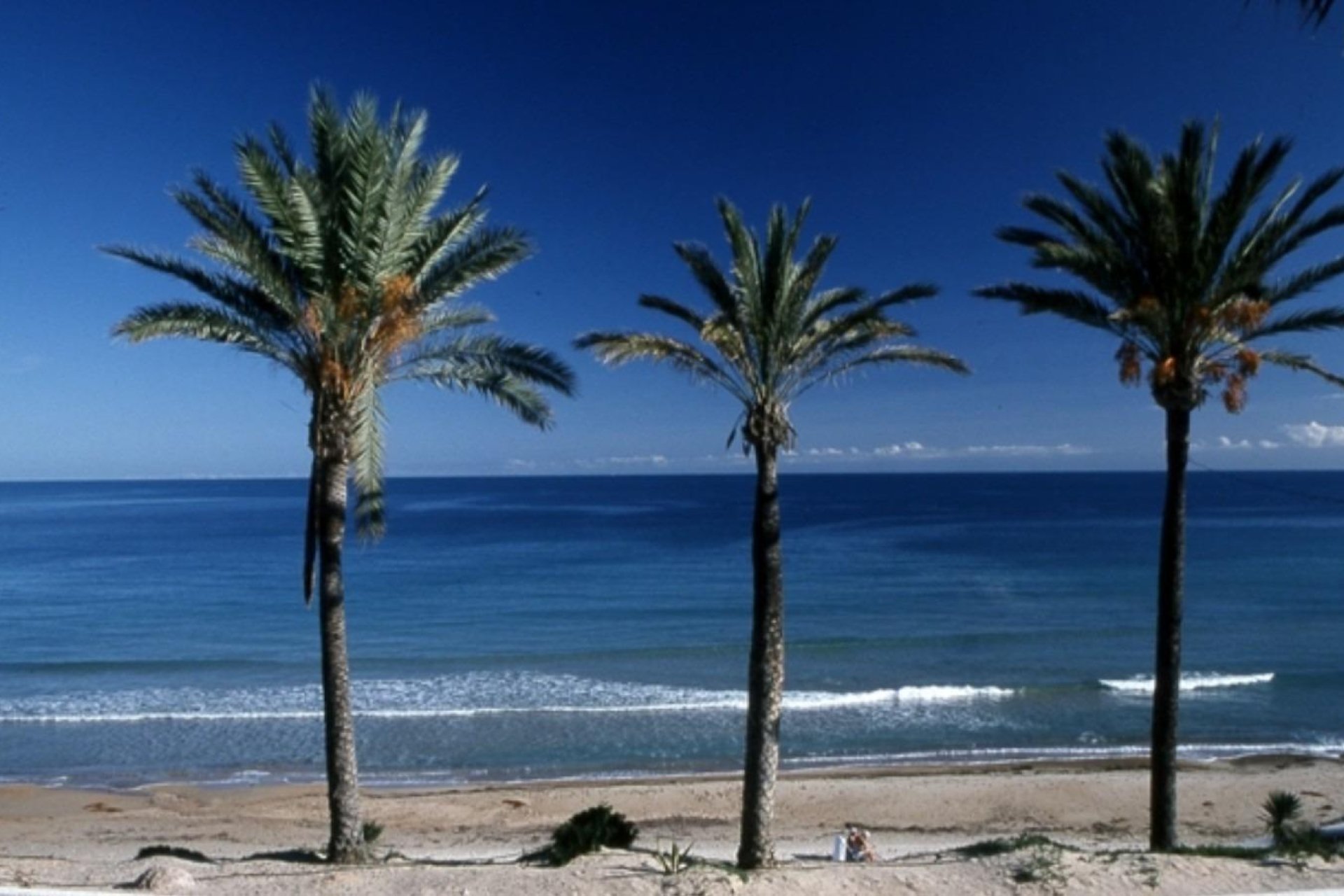 Nýbygging -  -
Pilar de la Horadada - Parque Ramon eugenio Escudero