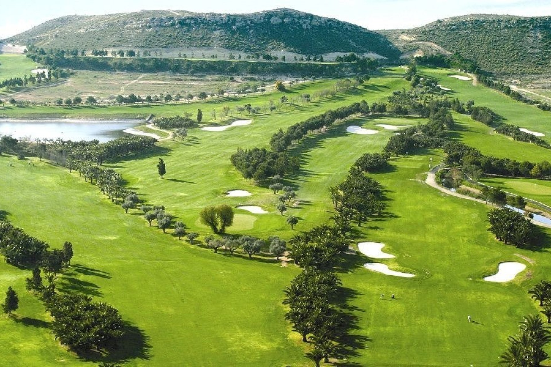 Nýbygging - Villa -
Baños y Mendigo - Altaona Golf