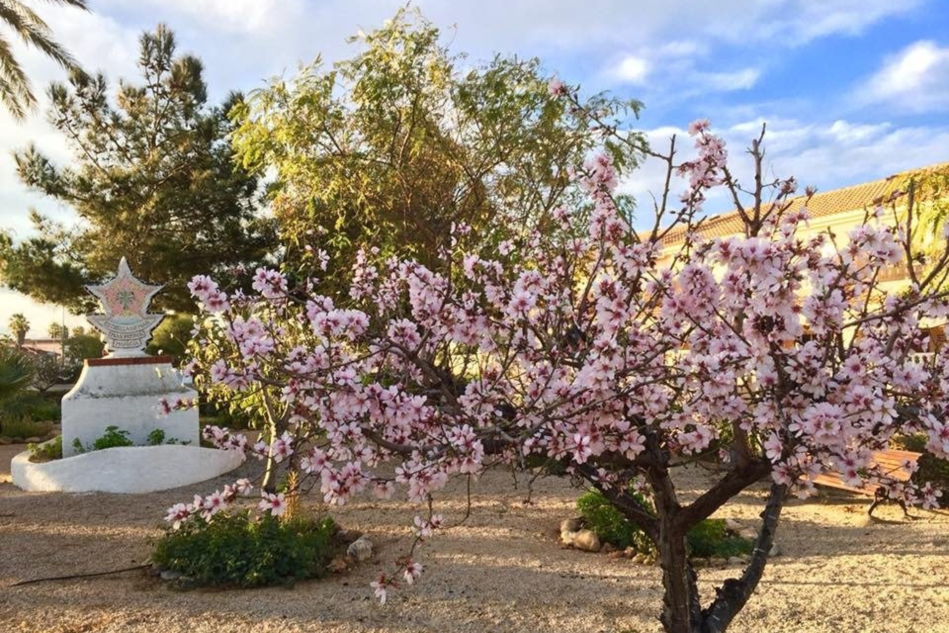 Nýbygging - Villa -
Los Urrutias - Estrella De Mar