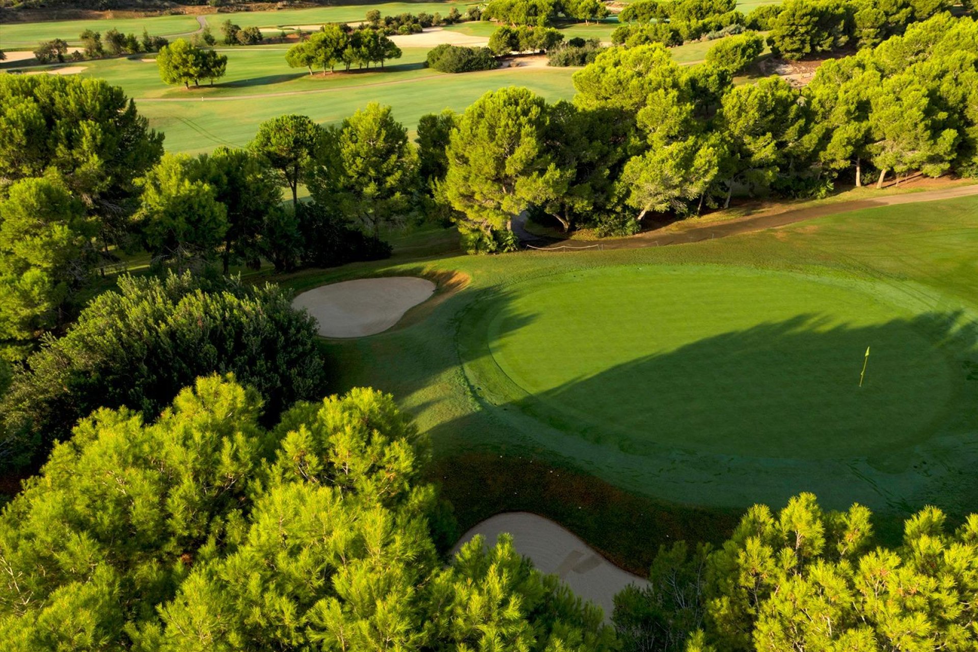 Nýbygging - Villa -
Pilar de la Horadada - Lo Romero Golf