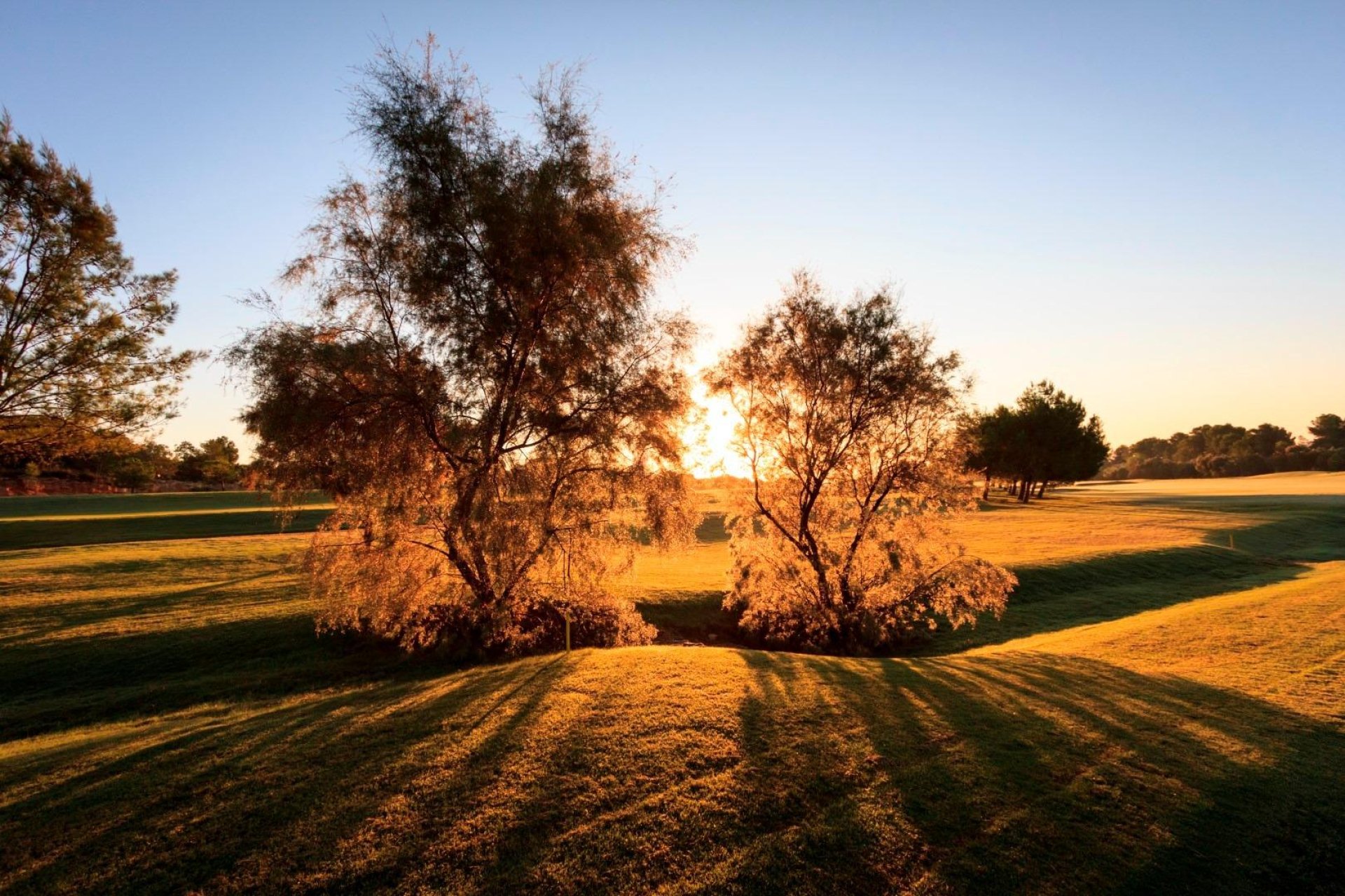 Nýbygging - Villa -
Pilar de la Horadada - Lo Romero Golf