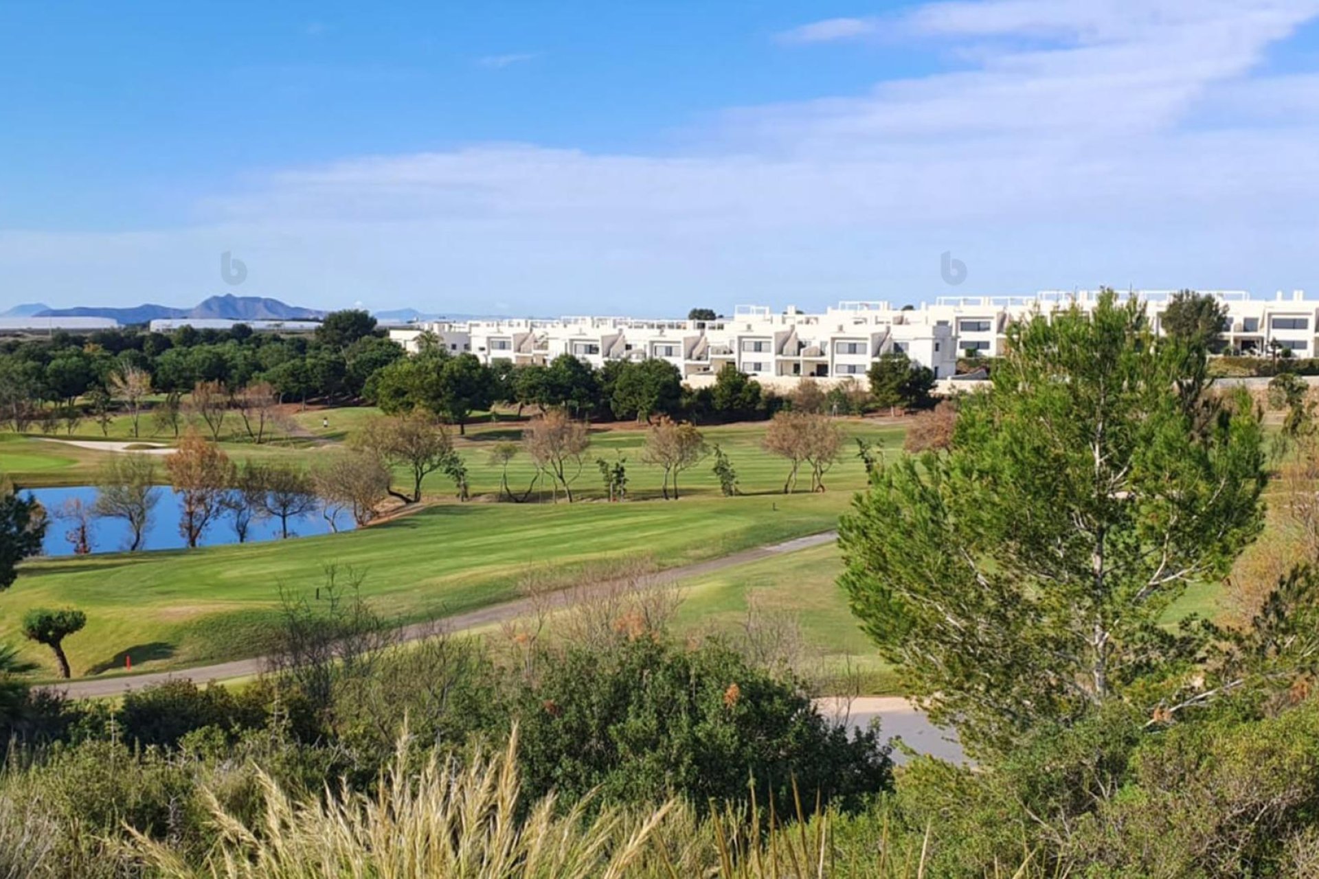 Nýbygging - Villa -
Pilar de la Horadada - Lo Romero Golf