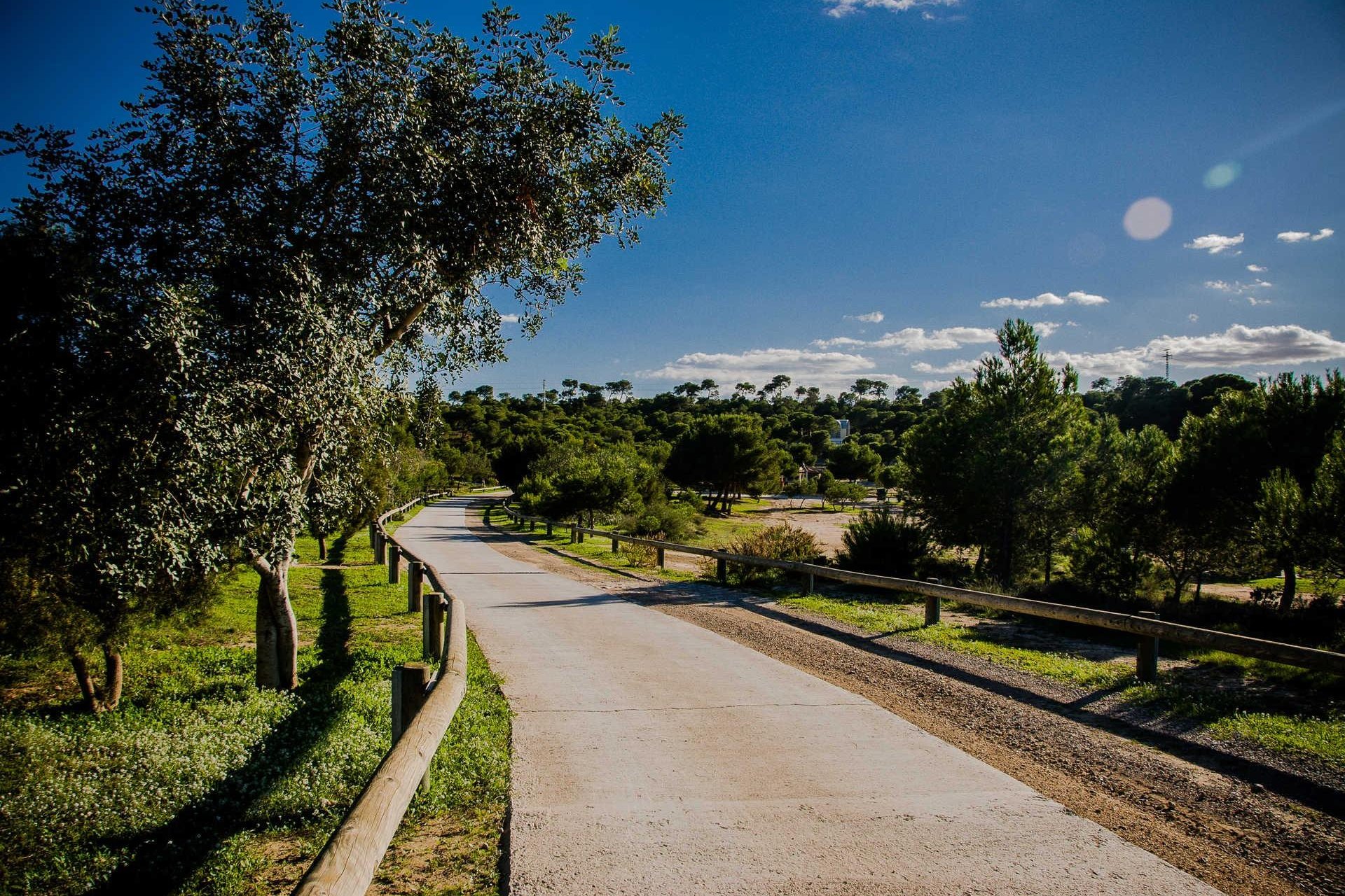 Nýbygging - Villa -
Rojales - Doña Pepa