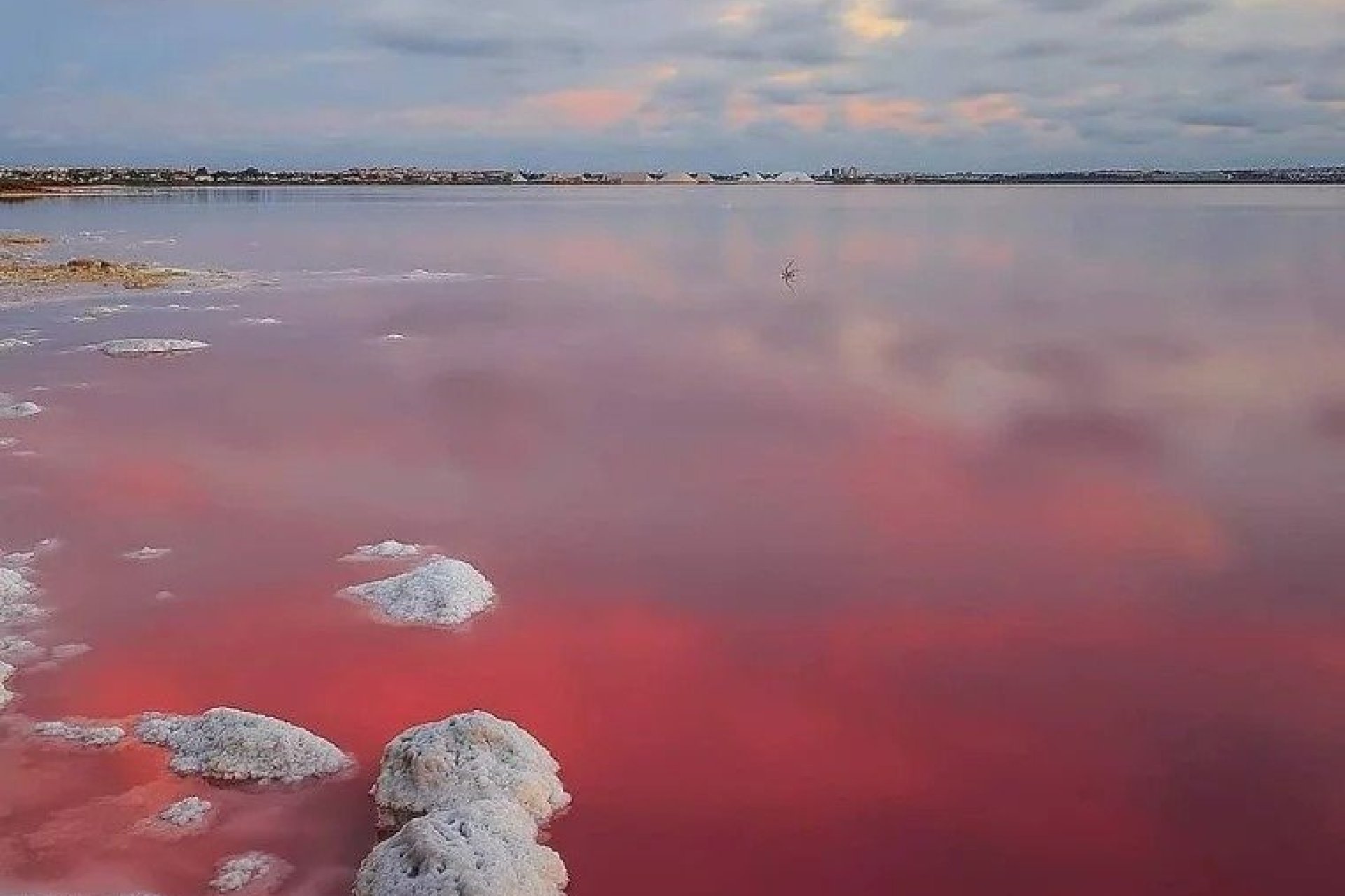 Nýbygging - Villa -
Torrevieja - Lago Jardín II