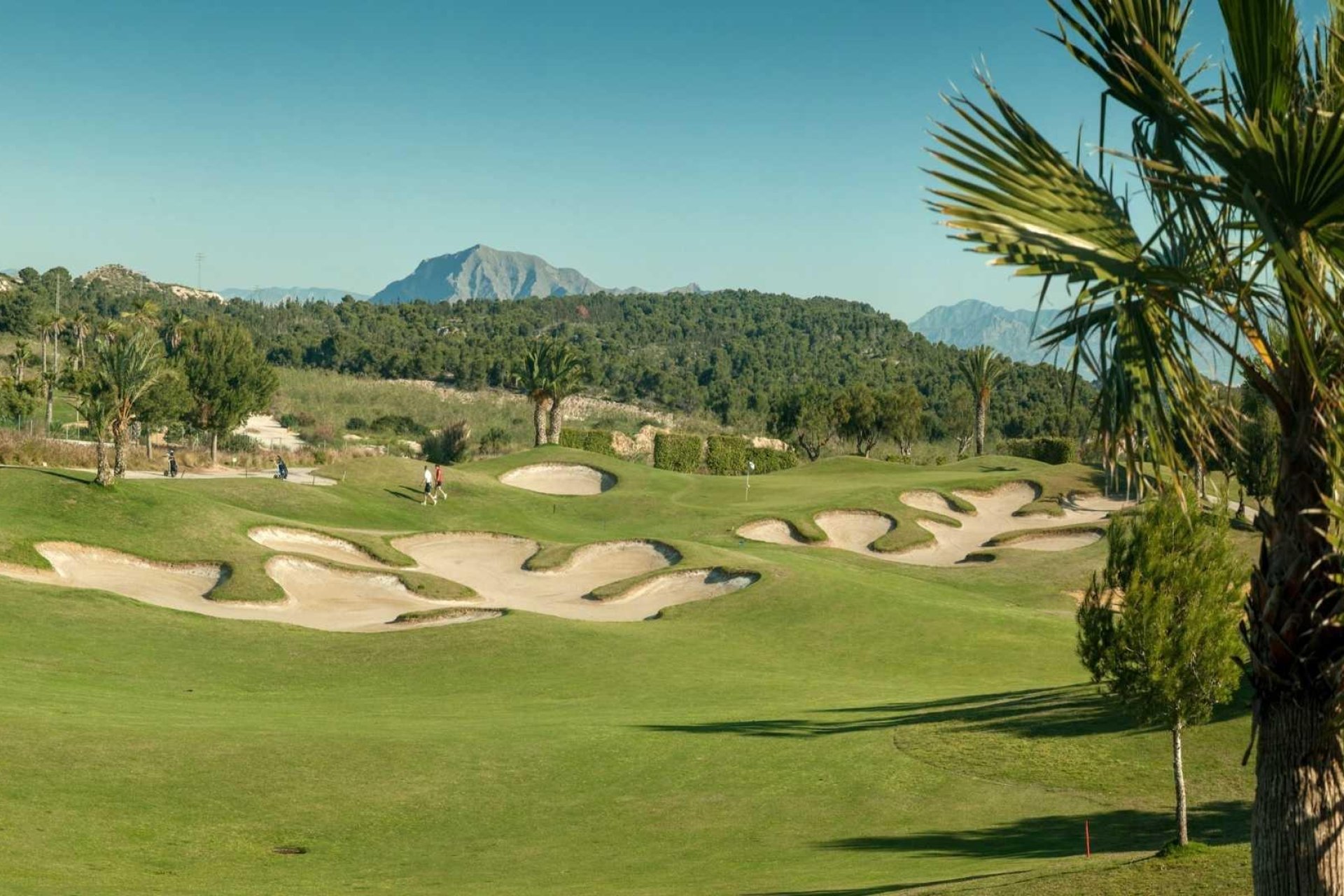 Obra nueva - Adosado -
Orihuela - Vistabella Golf