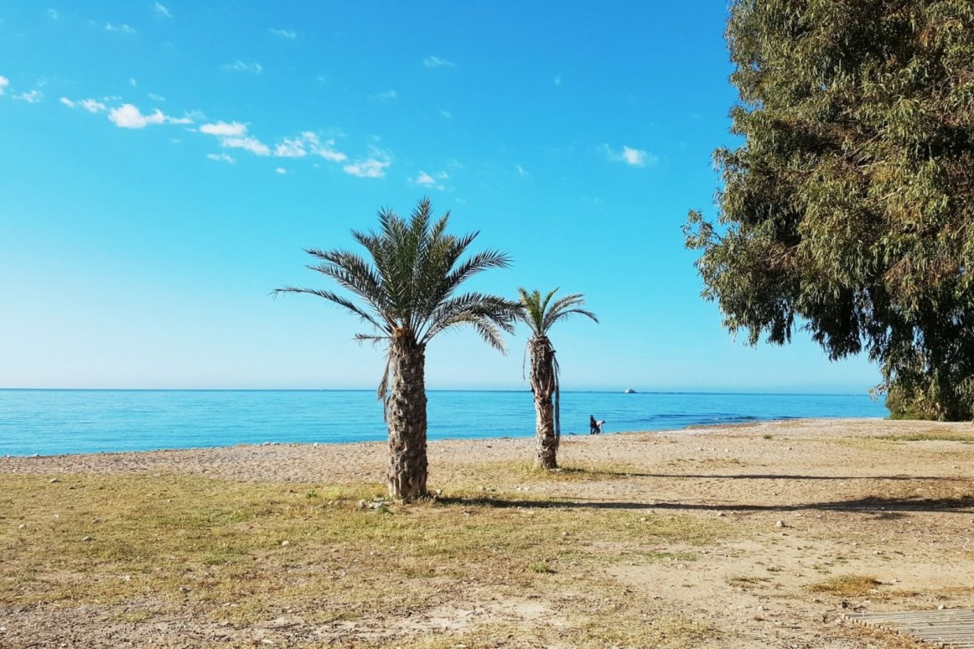 Obra nueva - Apartamento/ piso -
Villajoyosa - Playa Les Torres