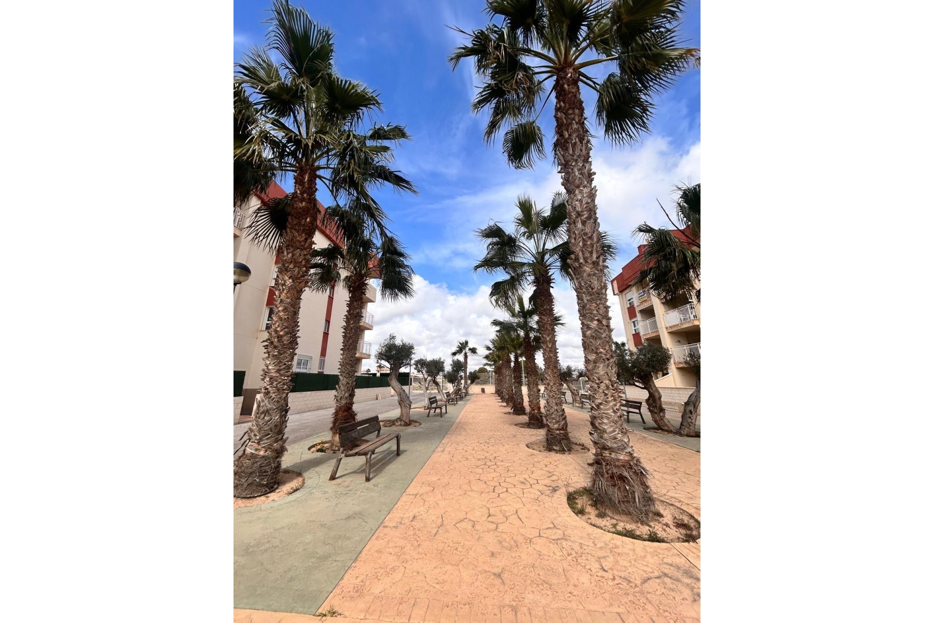 Obra nueva - Apartamento planta baja -
Orihuela Costa - Lomas de Cabo Roig