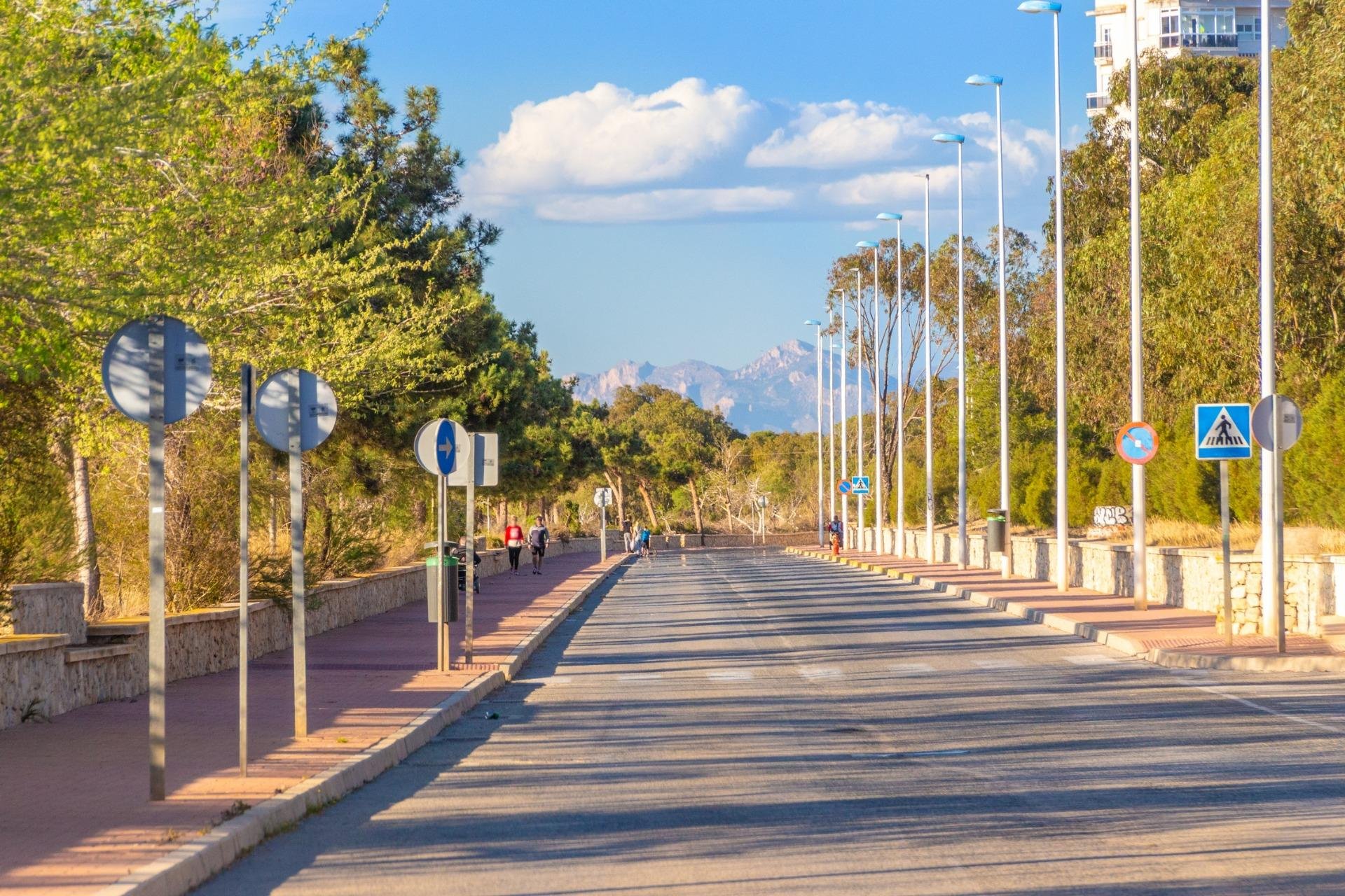 Obra nueva - Bungalow -
Guardamar del Segura - Guardamar Del Segura