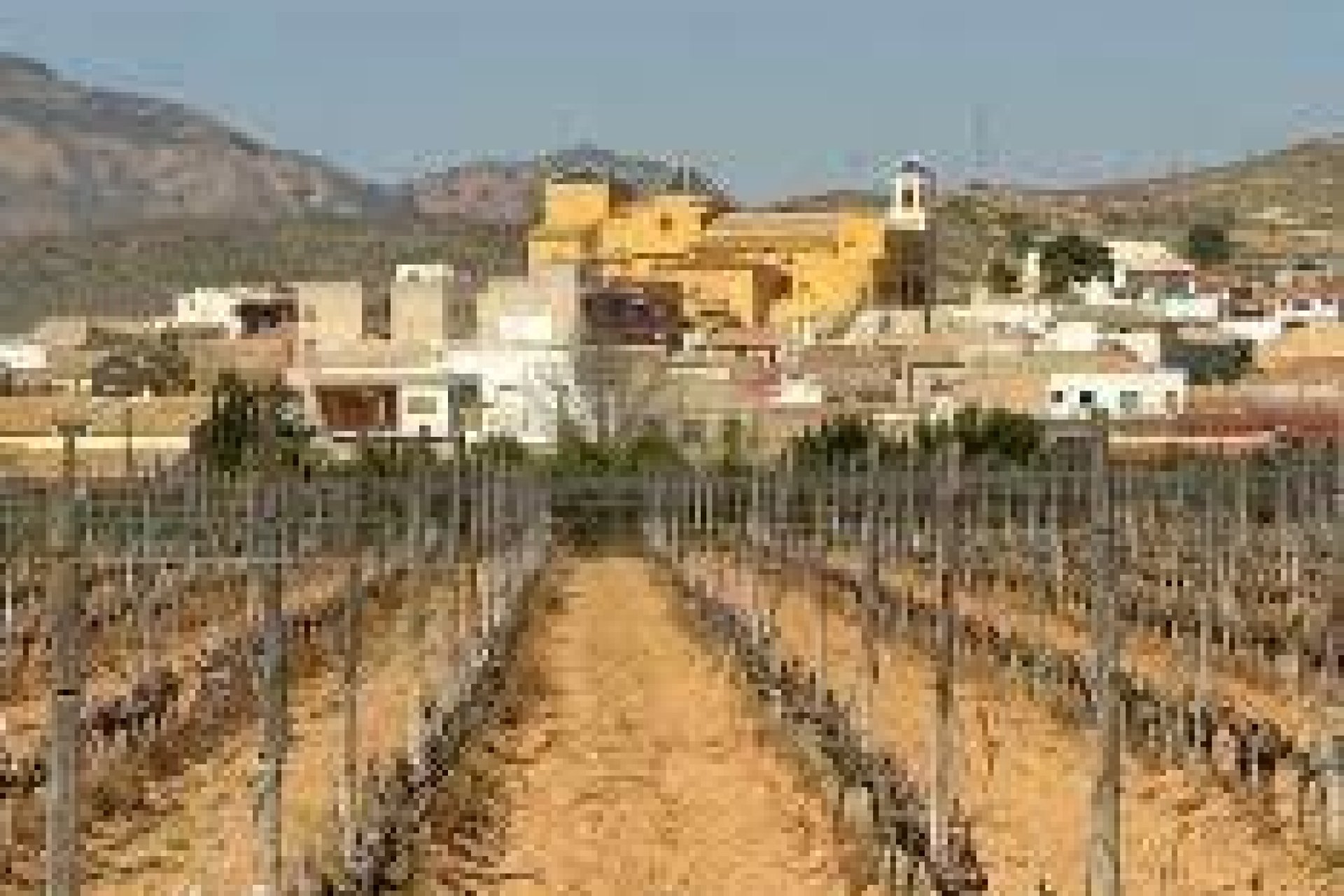 Obra nueva -  -
Hondón de las Nieves - El Salero