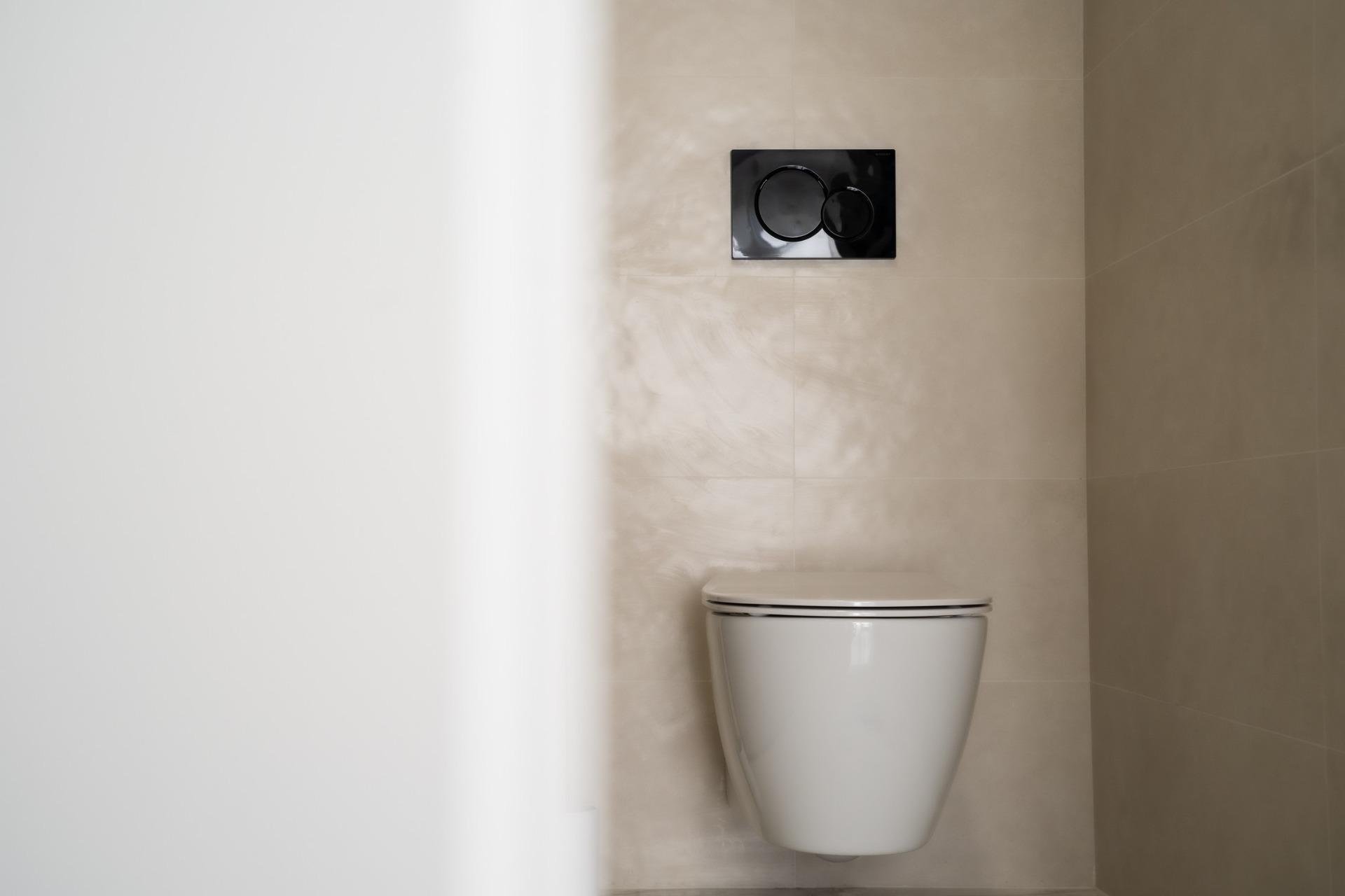 Obra nueva -  -
Pilar de la Horadada - pueblo