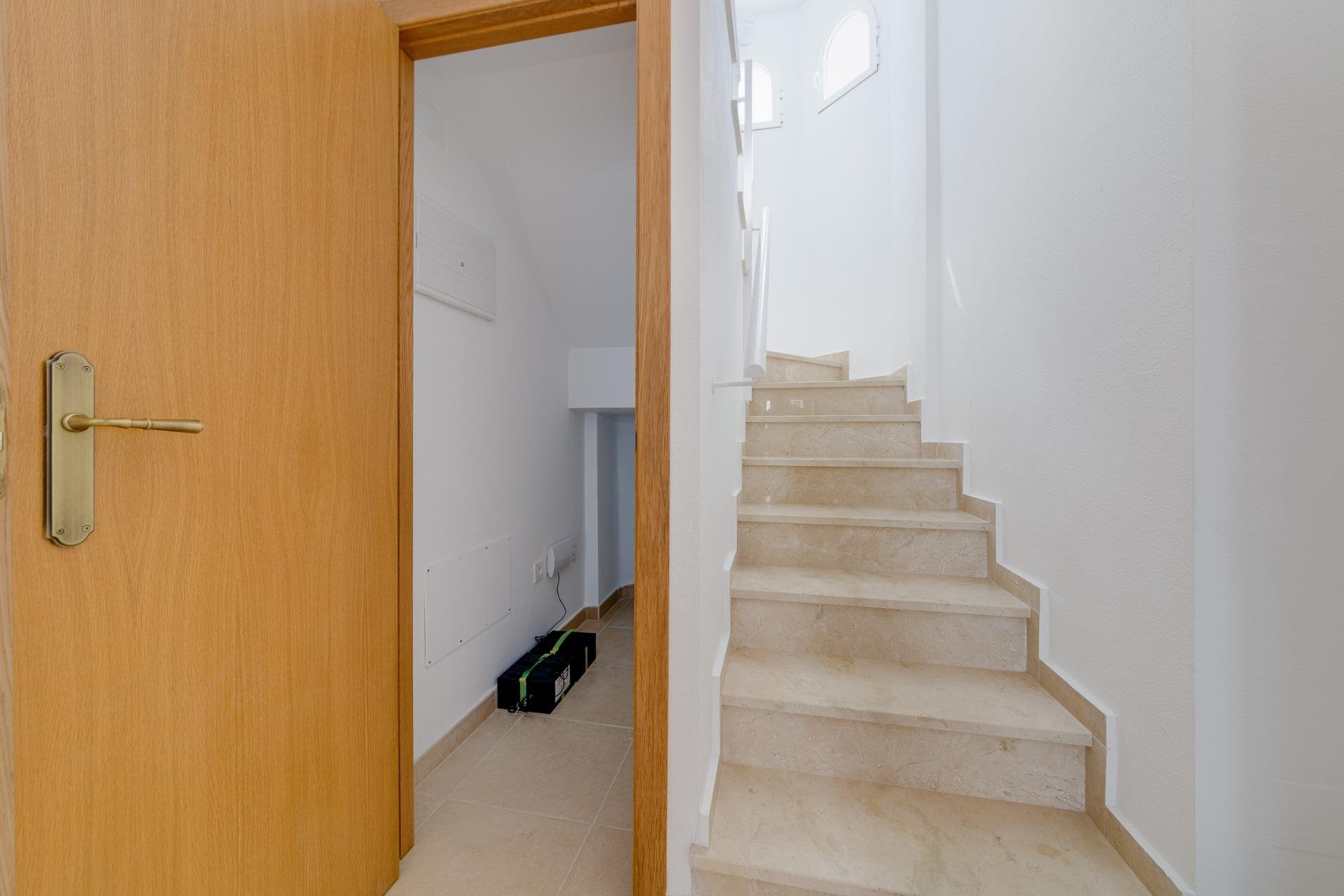 Obra nueva - Semidetached -
San Fulgencio - El Oasis