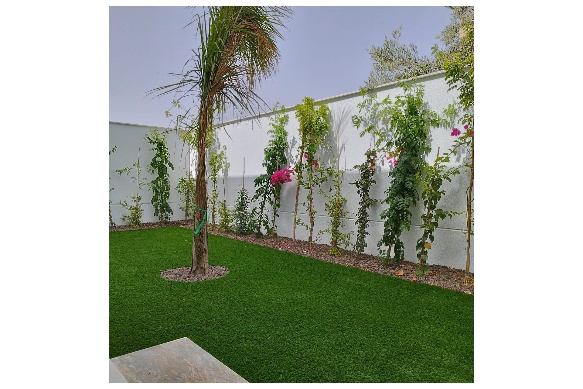 Obra nueva - Semidetached -
San Javier - Parque del doce