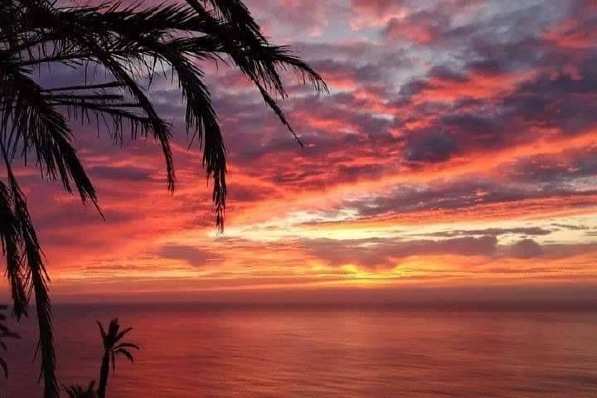 Obra nueva -  -
Torrevieja - Altos del Sol