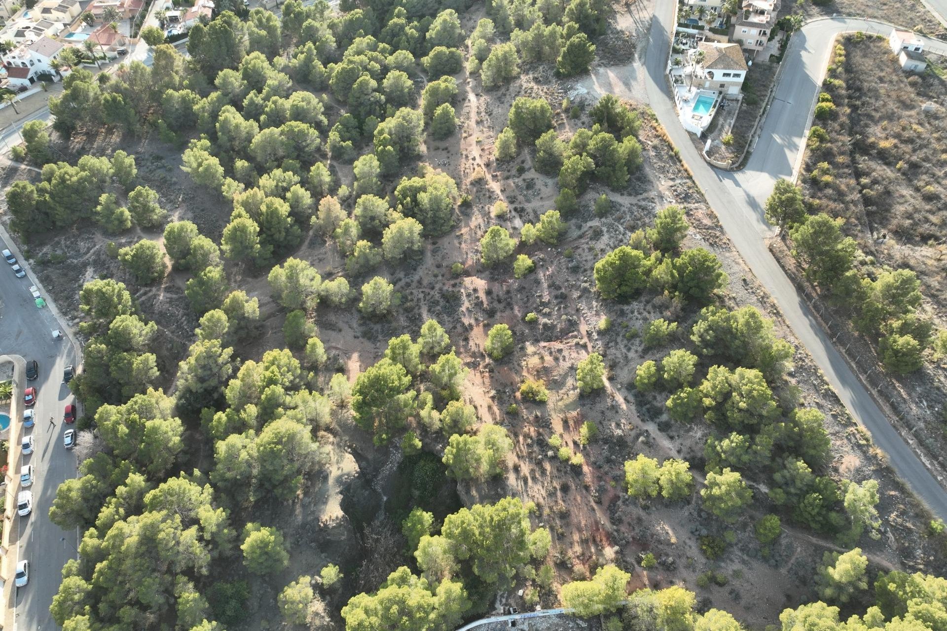 Obra nueva - Villa -
Alfas del Pí - Escandinavia