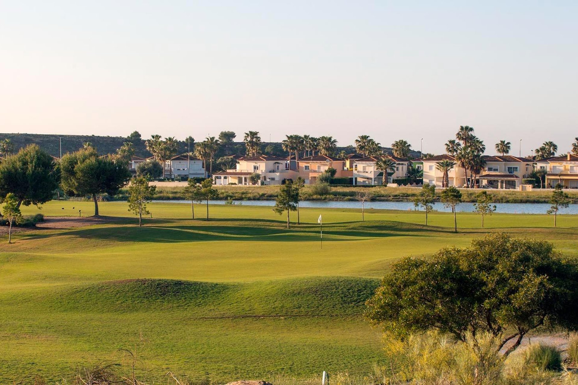 Obra nueva - Villa -
Baños y Mendigo - Altaona Golf