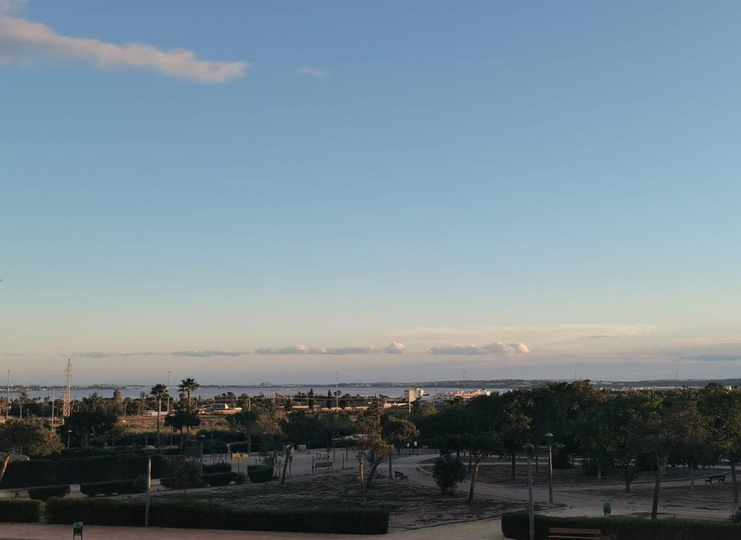 Obra nueva - Villa -
Los Montesinos - La Herrada