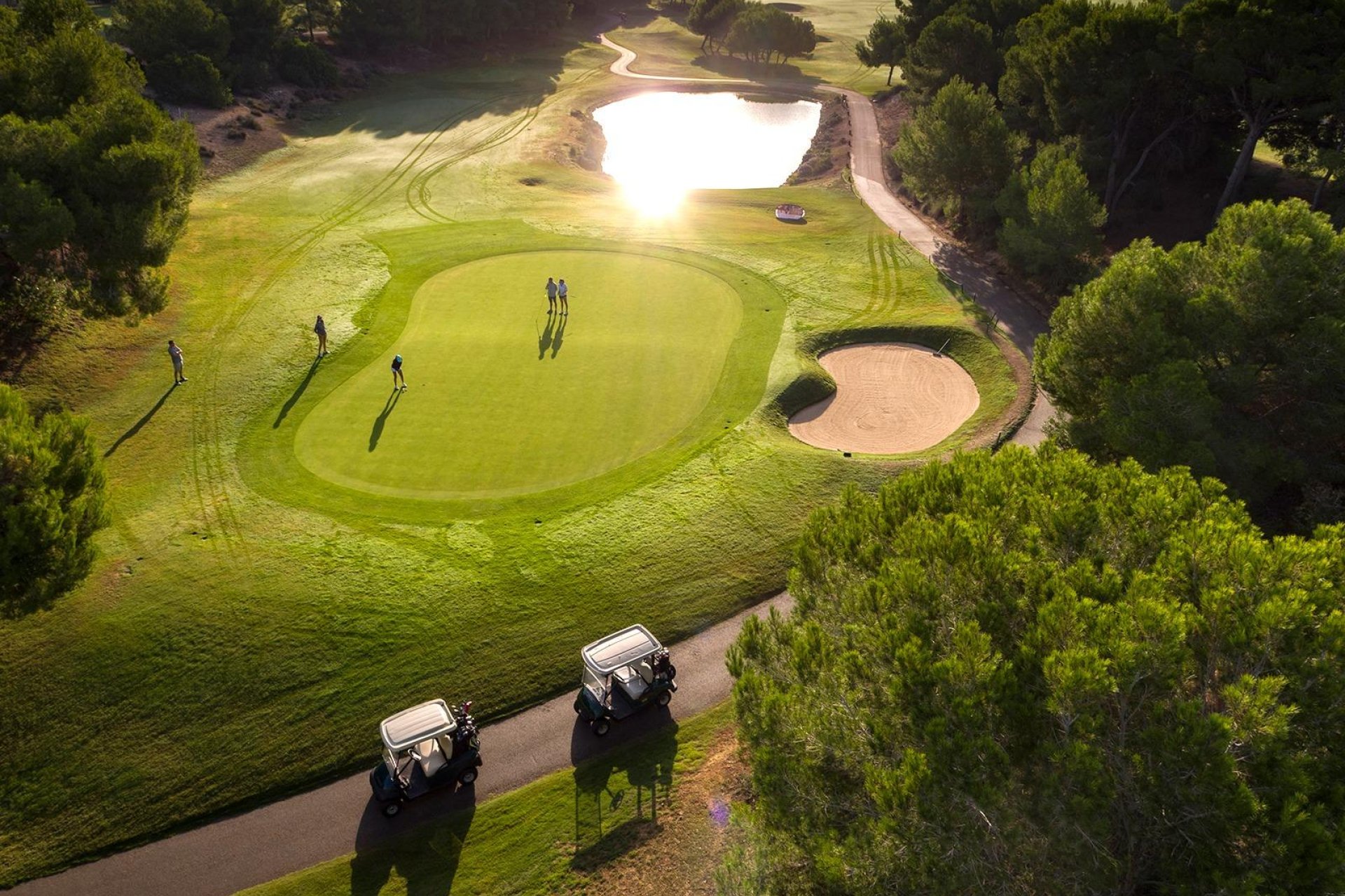 Obra nueva - Villa -
Pilar de la Horadada - Lo Romero Golf