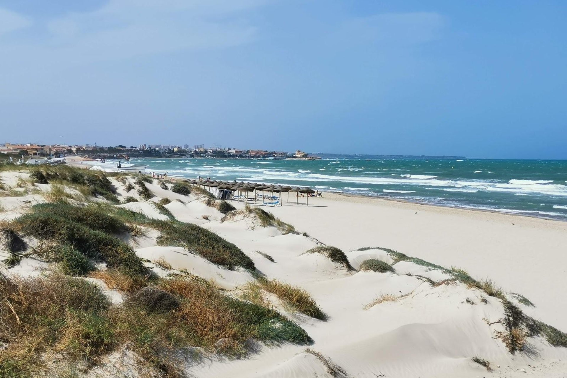 Obra nueva - Villa -
Pilar de la Horadada - Pilar De La Horadada