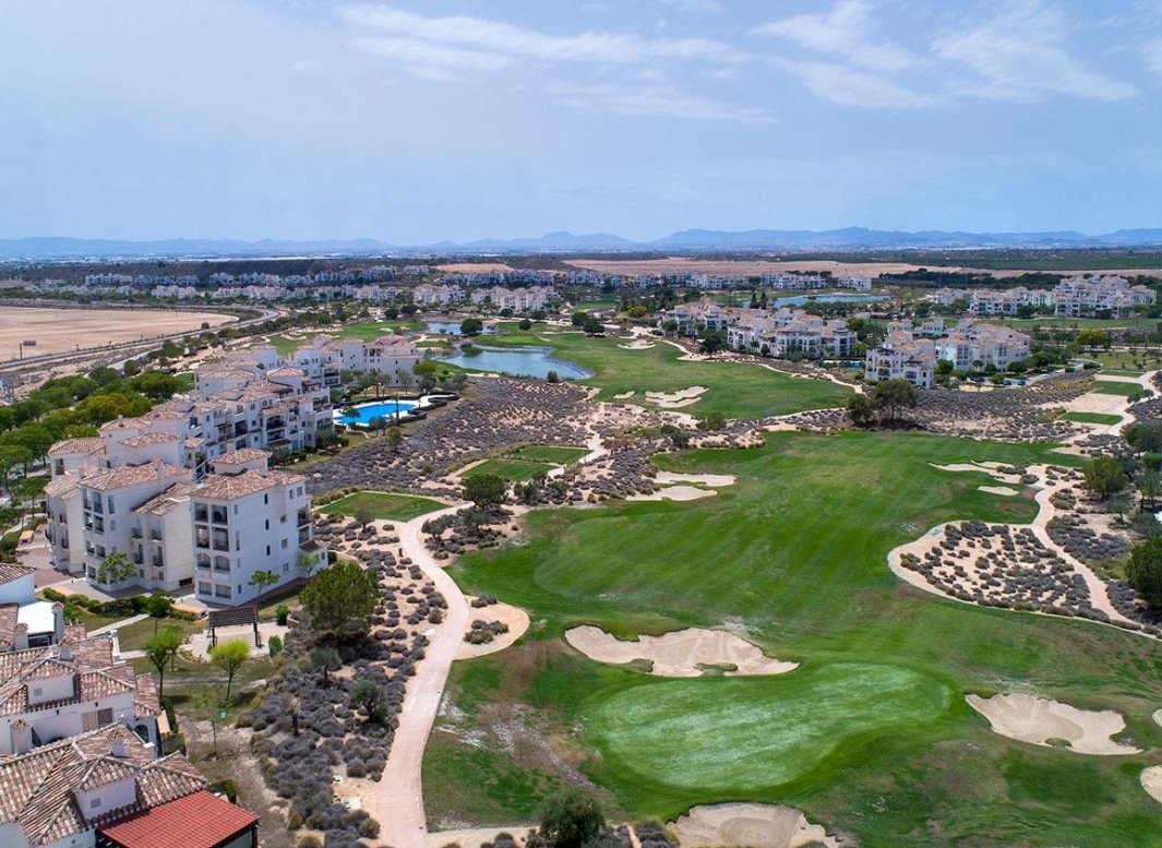 Obra nueva - Villa -
Sucina