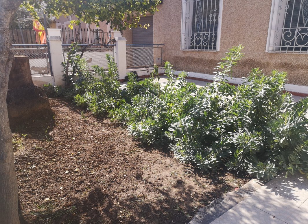 Resale - 2. Town house -
Los Montesinos