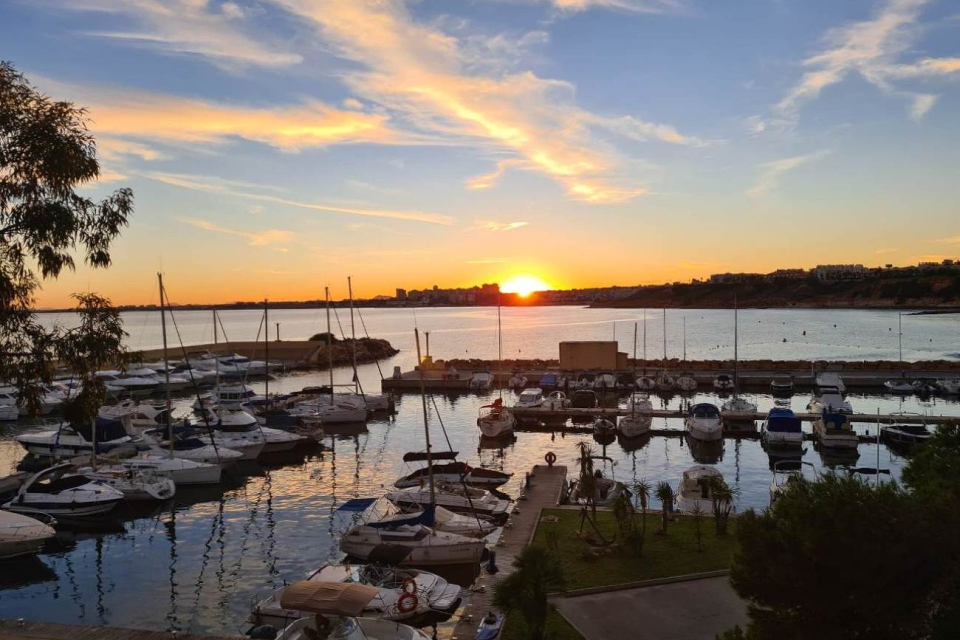 Reventa - Apartamento -
Campoamor