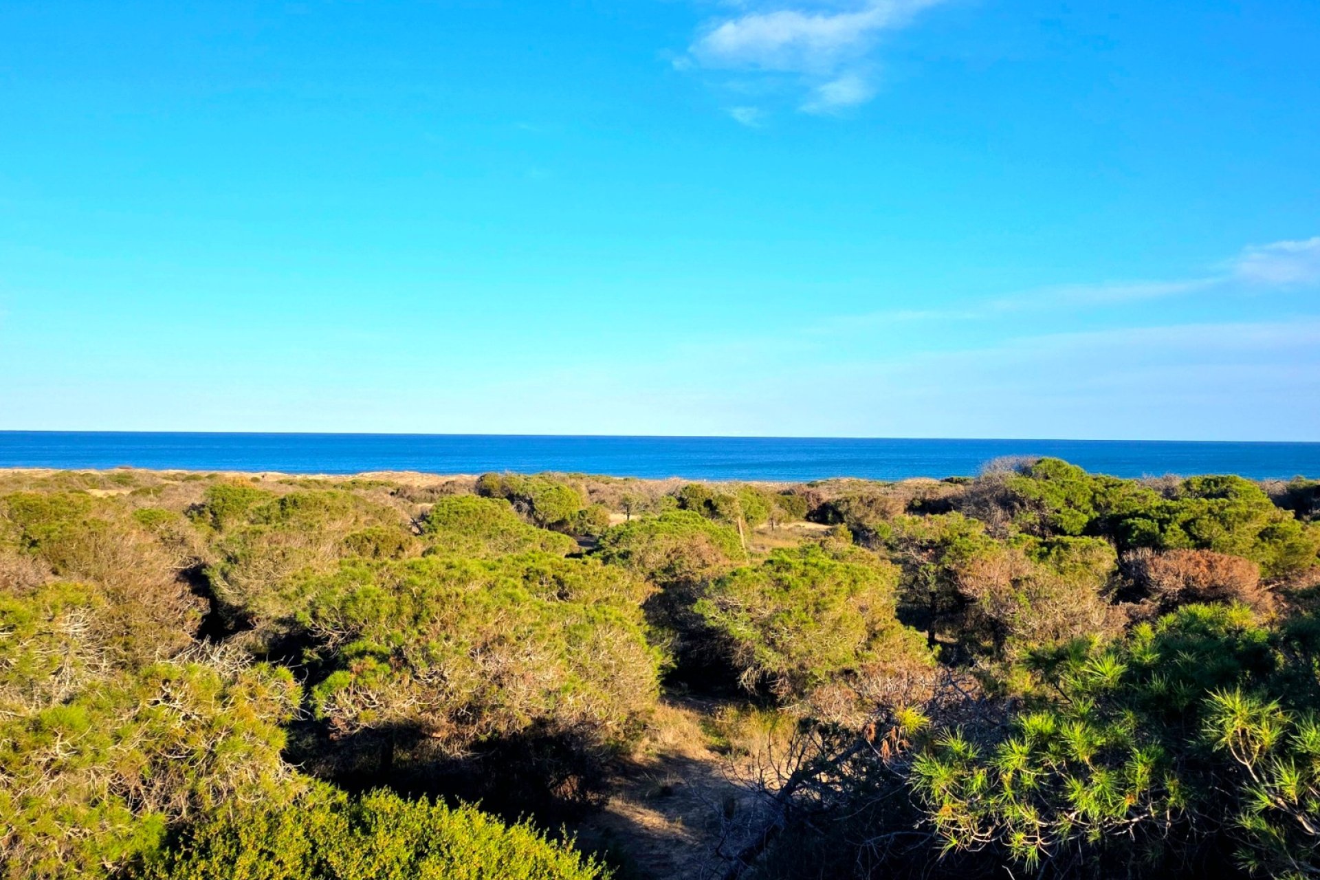 Reventa - Apartamento -
Guardamar del Segura - Pinomar