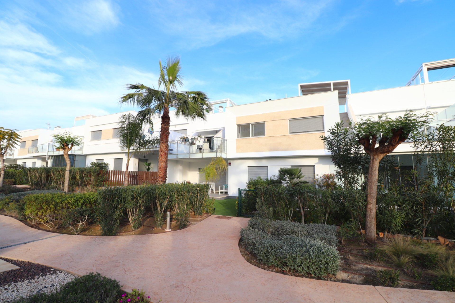 Reventa - Apartamento -
Los Montesinos - Entre Naranjos / Vistabella Golf