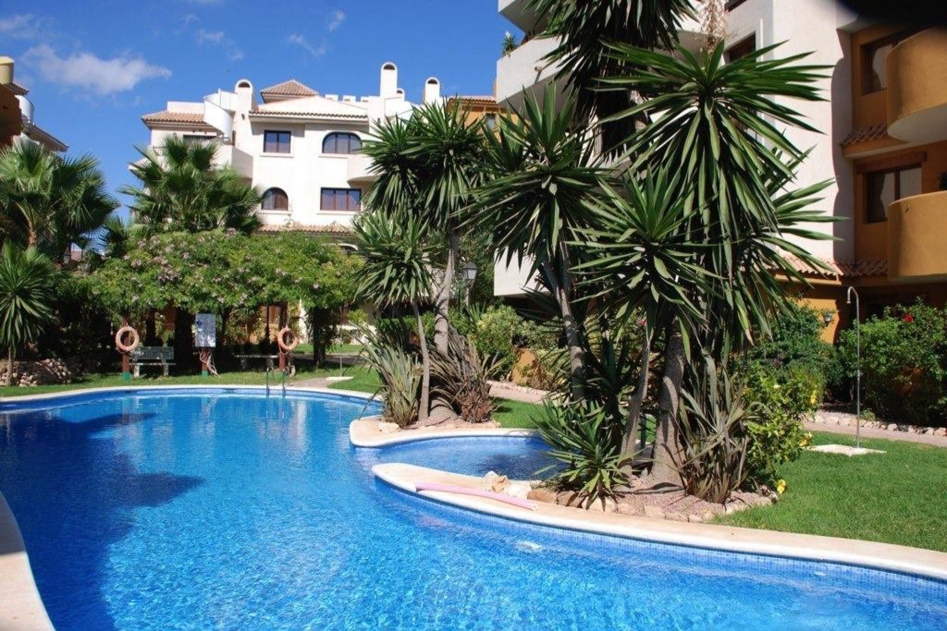 Reventa - Apartamento -
Punta Prima