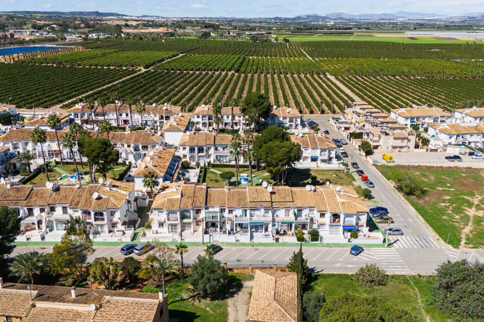 Reventa - Apartamento -
Torrevieja - Lago Jardin