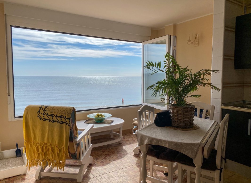 Reventa - Apartamento -
Torrevieja