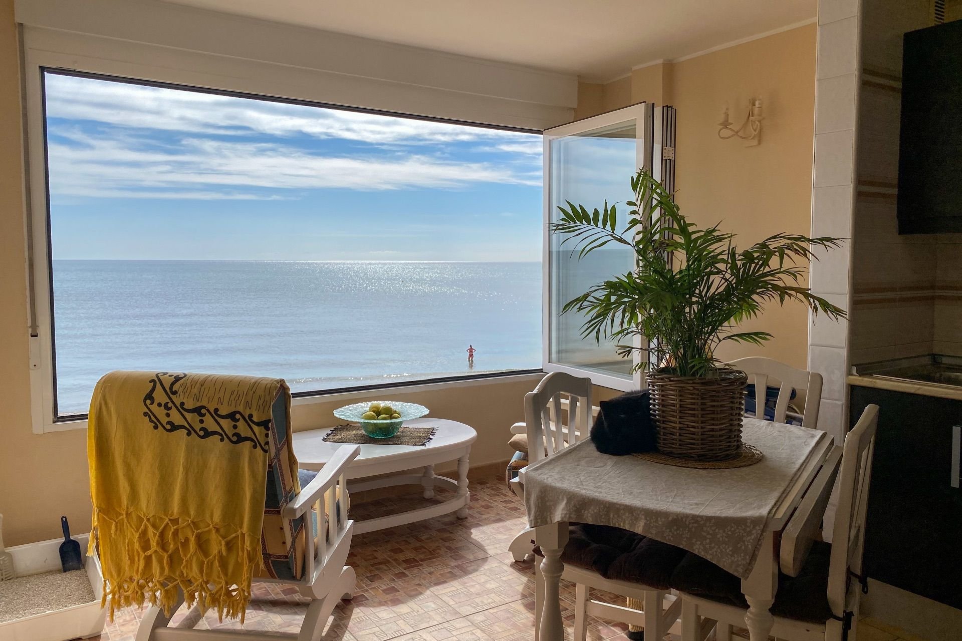 Reventa - Apartamento -
Torrevieja