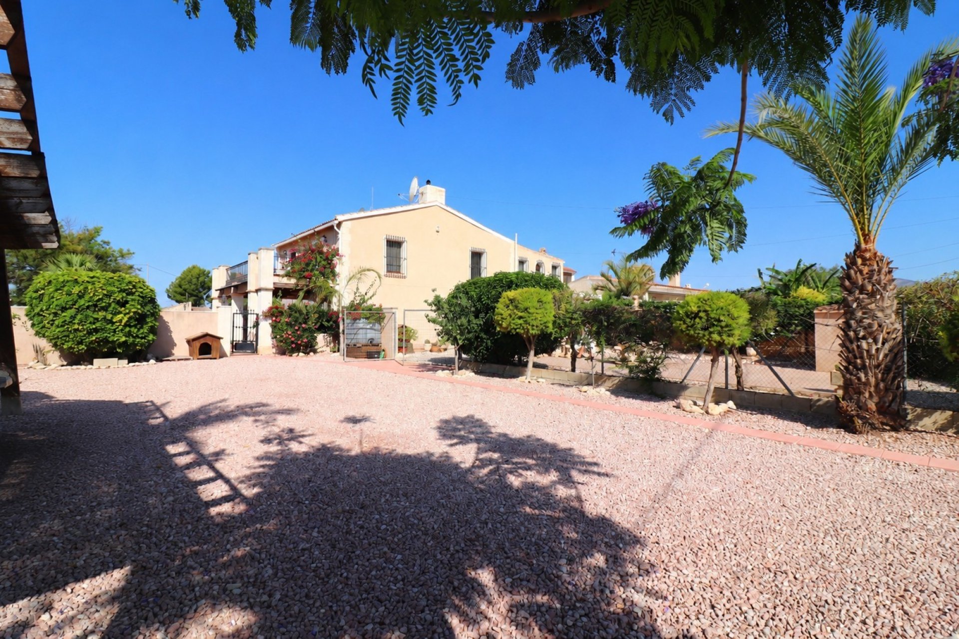 Reventa - Casa de campo -
Albatera - Albatera - Country