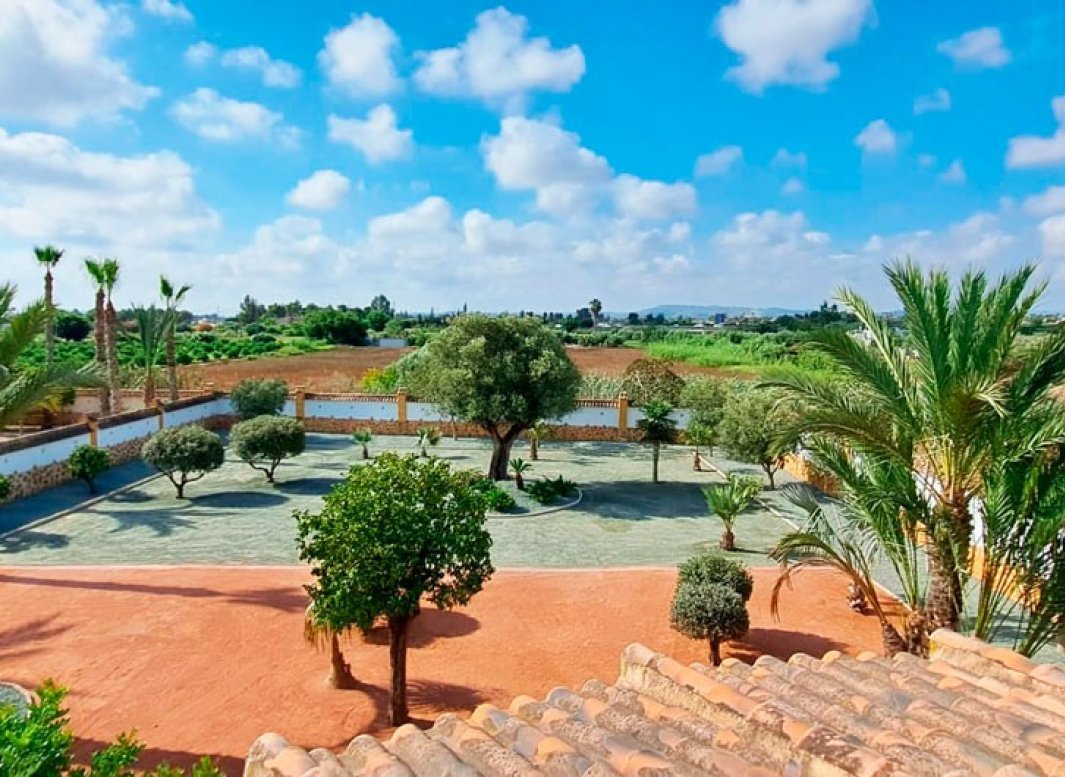 Reventa - Casa de campo -
Catral - Catral - Country