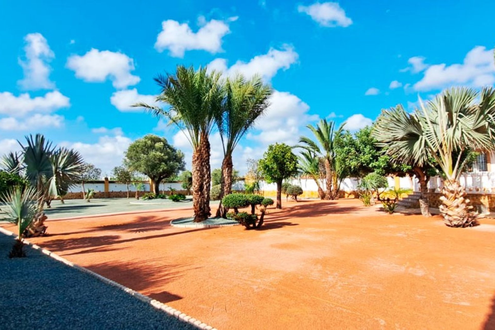 Reventa - Casa de campo -
Catral - Catral - Country