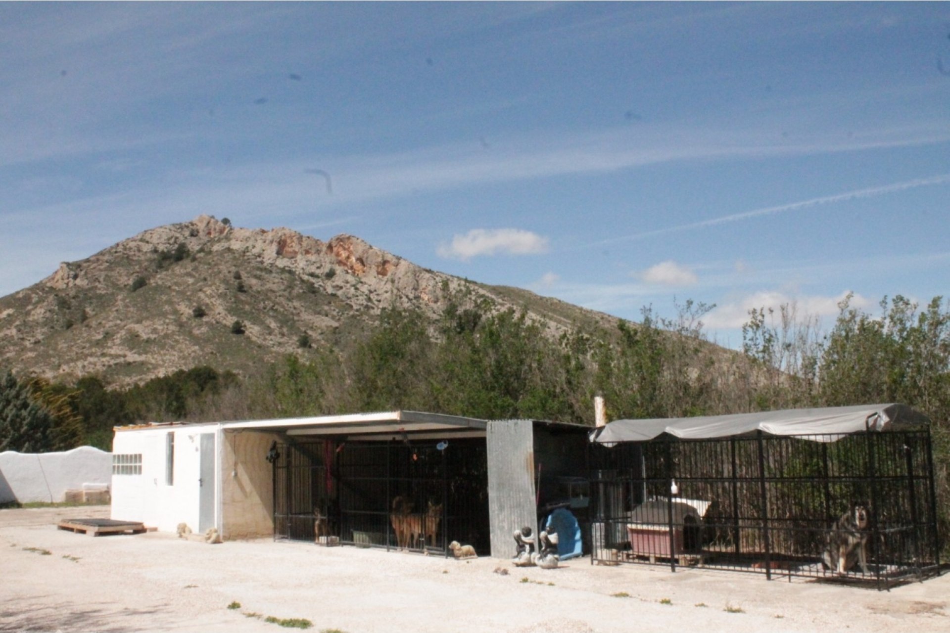 Reventa - Villa -
Villena