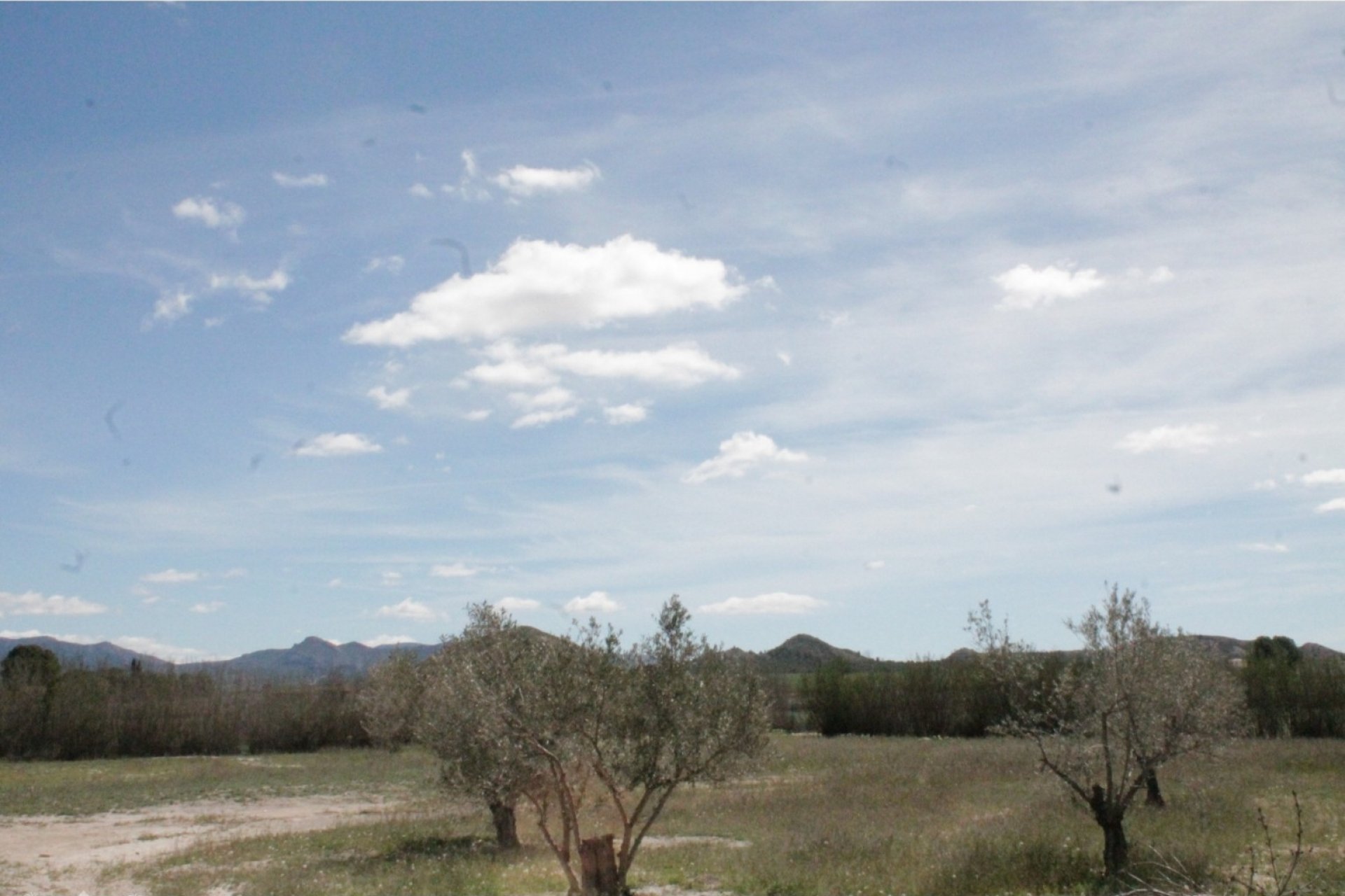 Reventa - Villa -
Villena