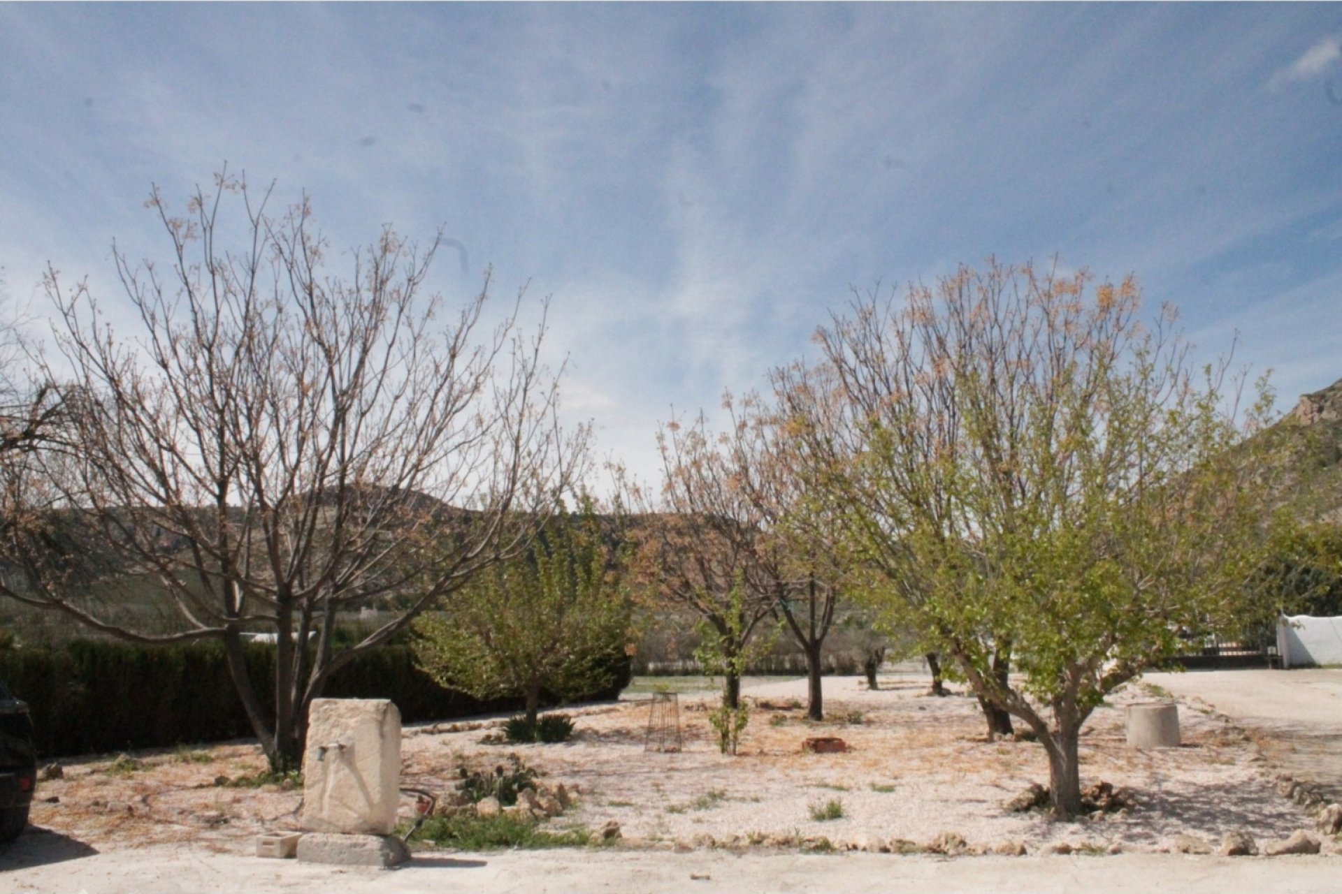 Reventa - Villa -
Villena