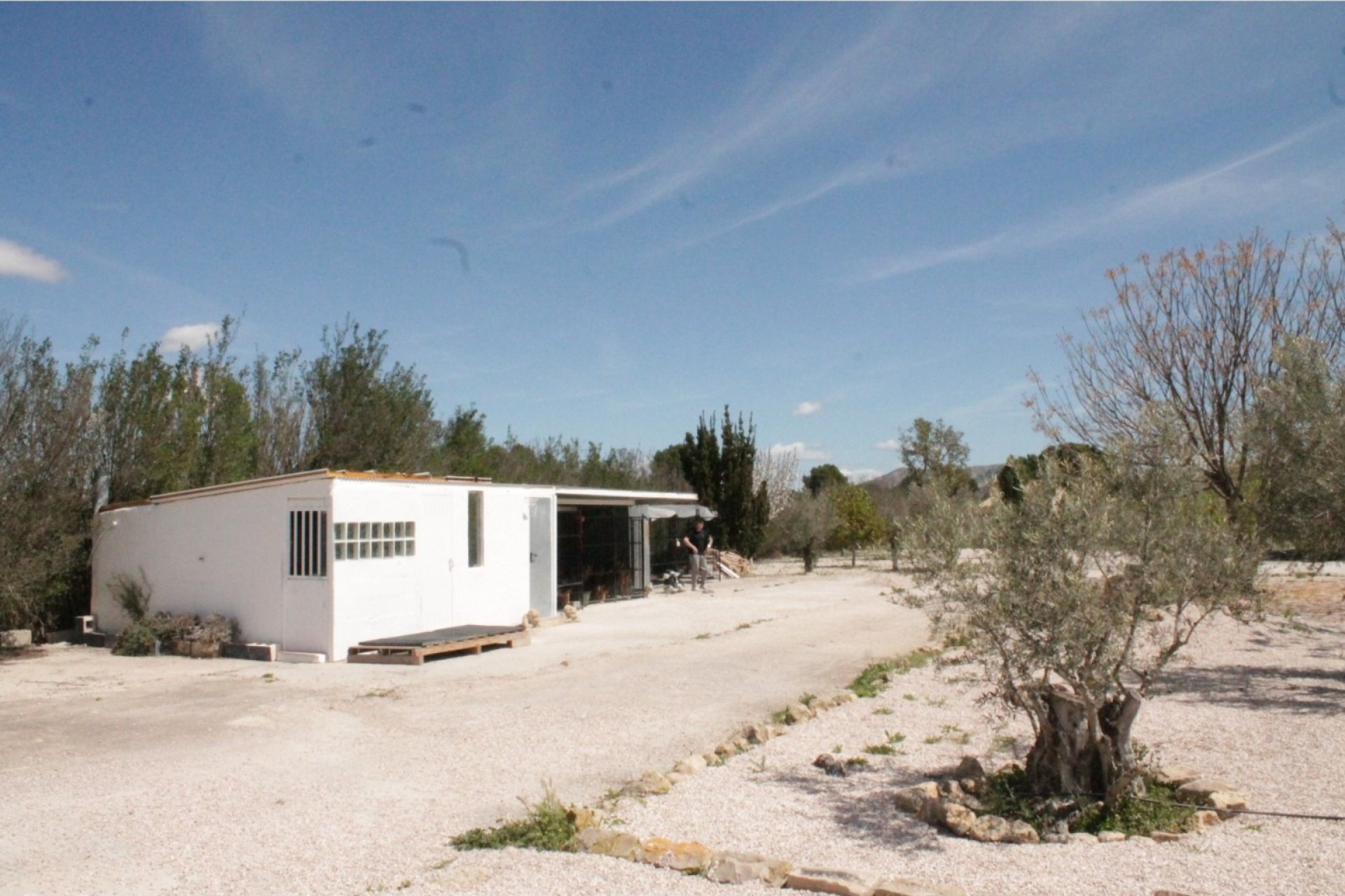 Reventa - Villa -
Villena